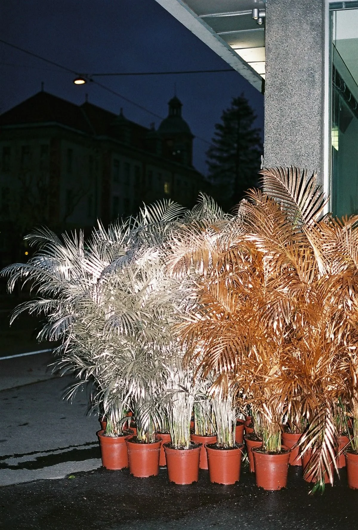 LA WISHLIST DE NOËL DE SEAYOUTHERE