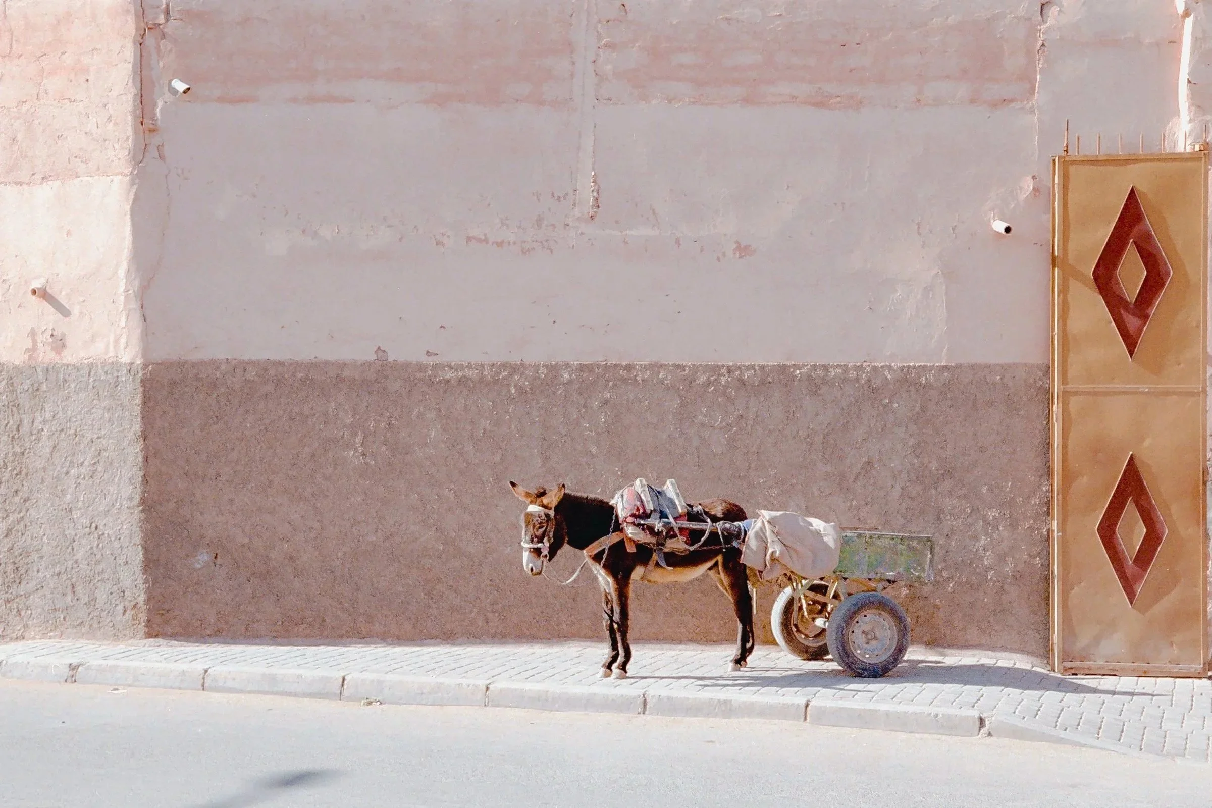 A donkey standing on a sidewalk with a small cart attached, in front of a beige wall with two Boyd Renault logos on a tall sign.