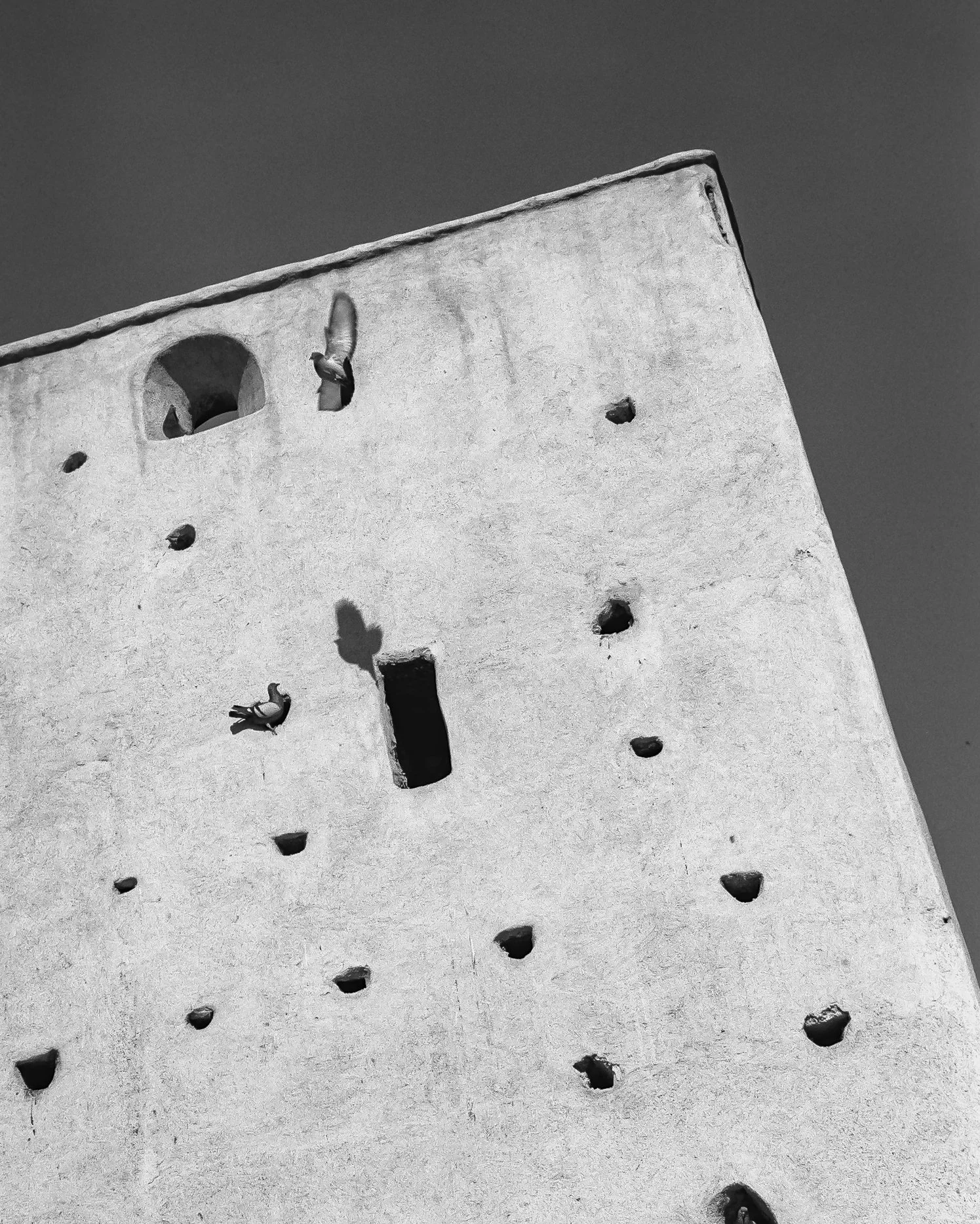 A black and white photo of a textured, tall wall with irregularly shaped holes, some of which contain birds, against a clear sky.