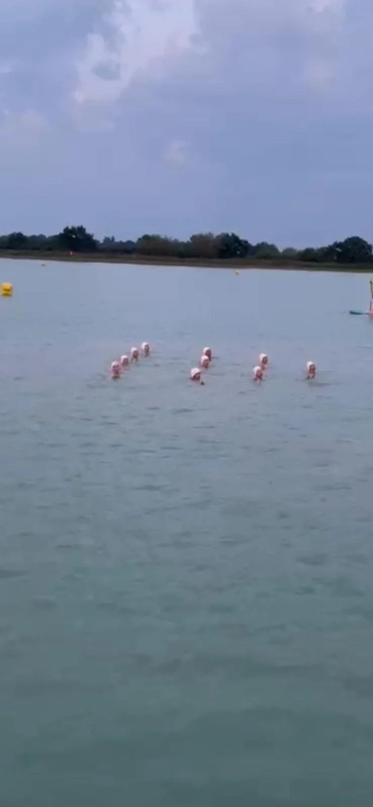 PHOTO-2024-09-21-08-30-36 3.jpg