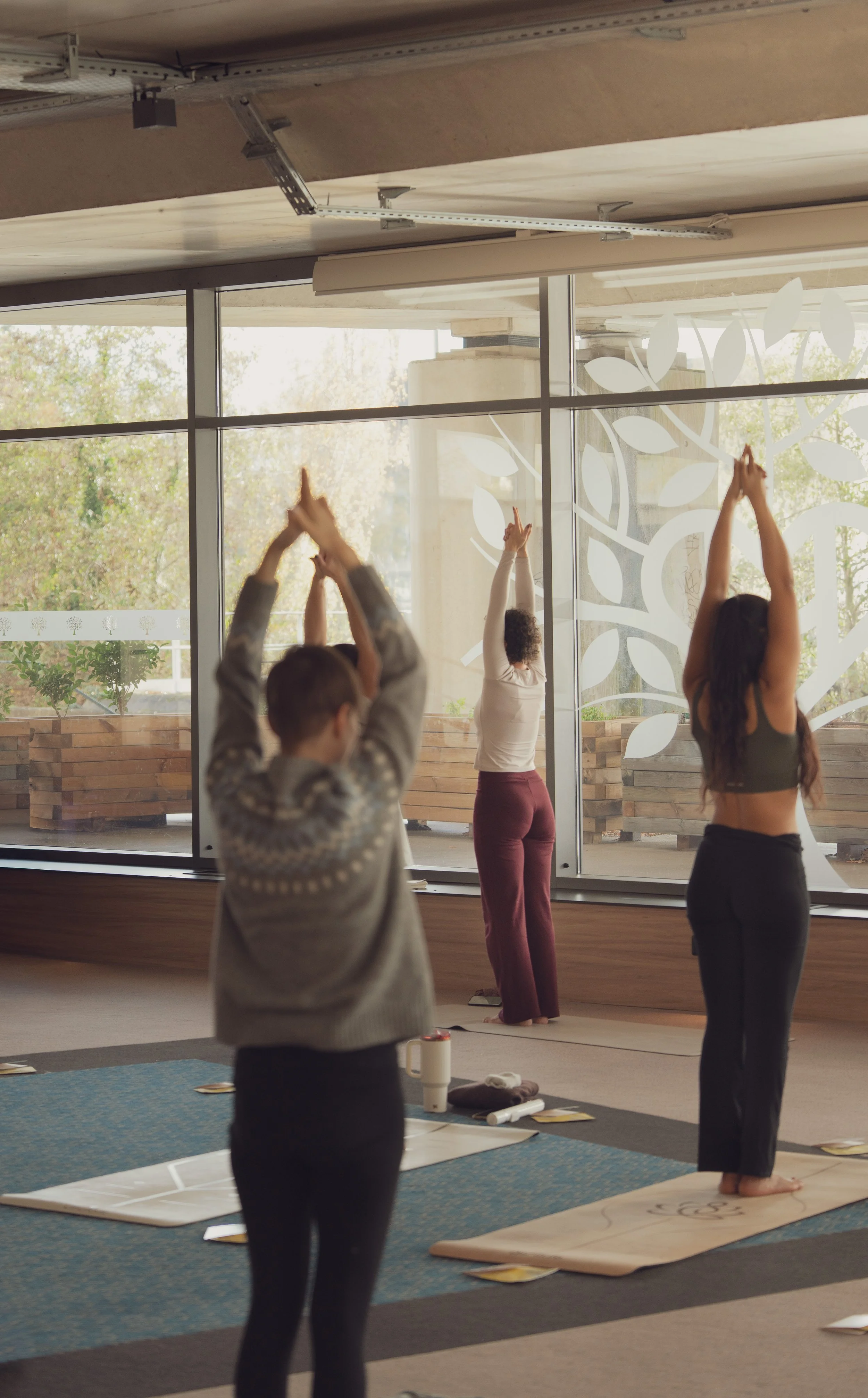 Hatha yoga