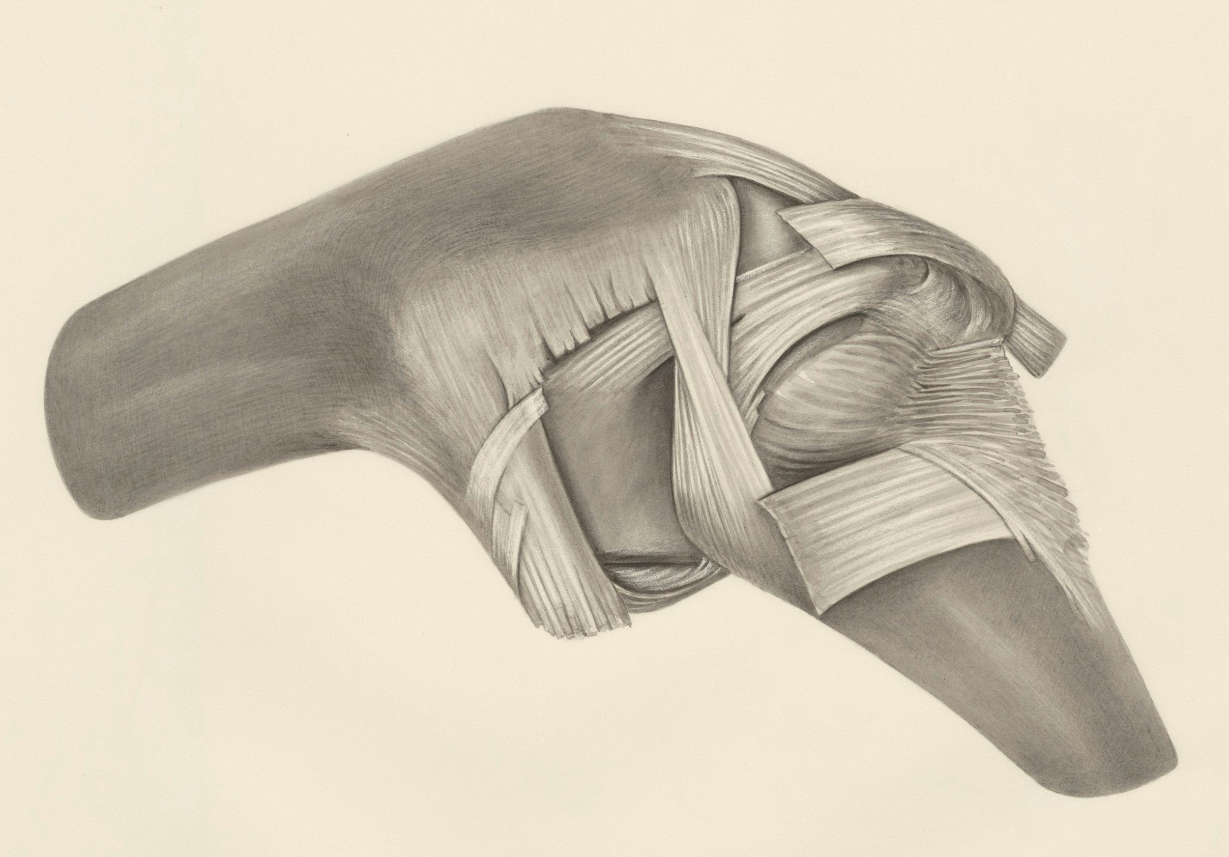 Arthritis, osteoporosis and strength training: what’s safe, what’s not