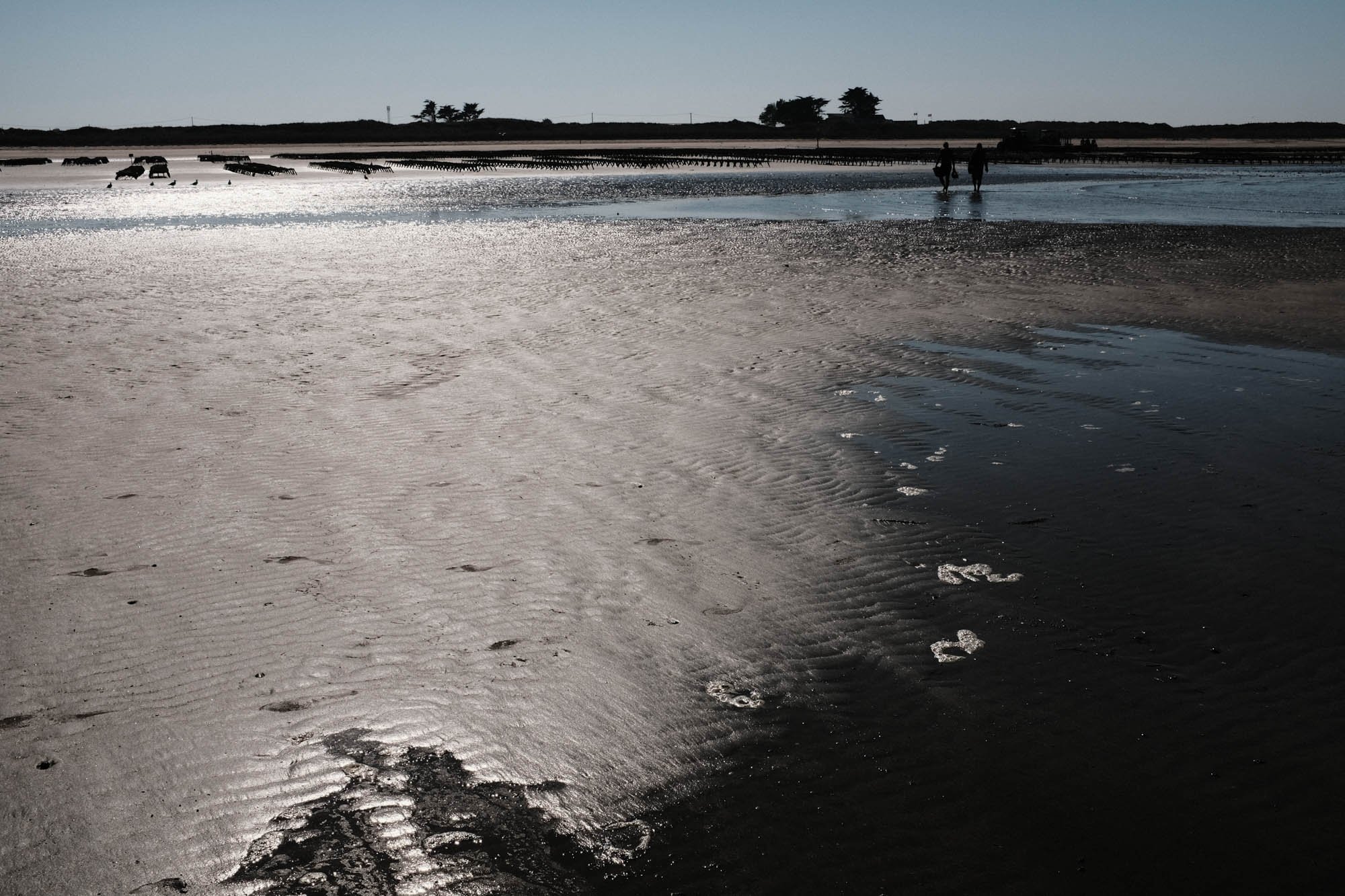 DSCF9720.jpg