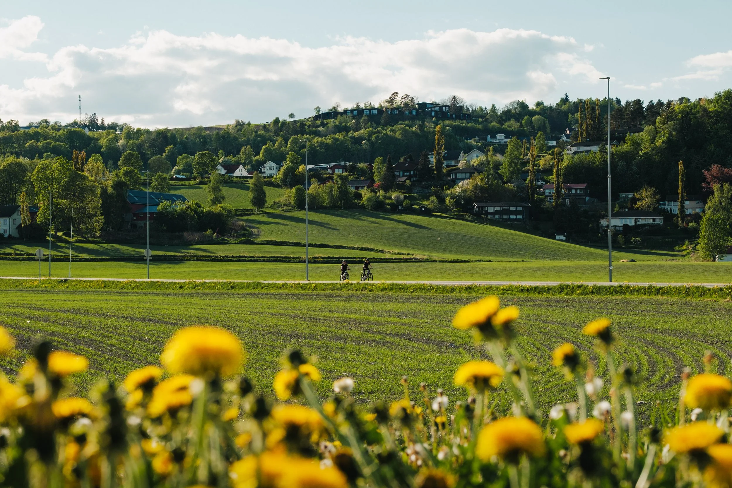 Elsykkeltur langs Den Gyldne Omvei