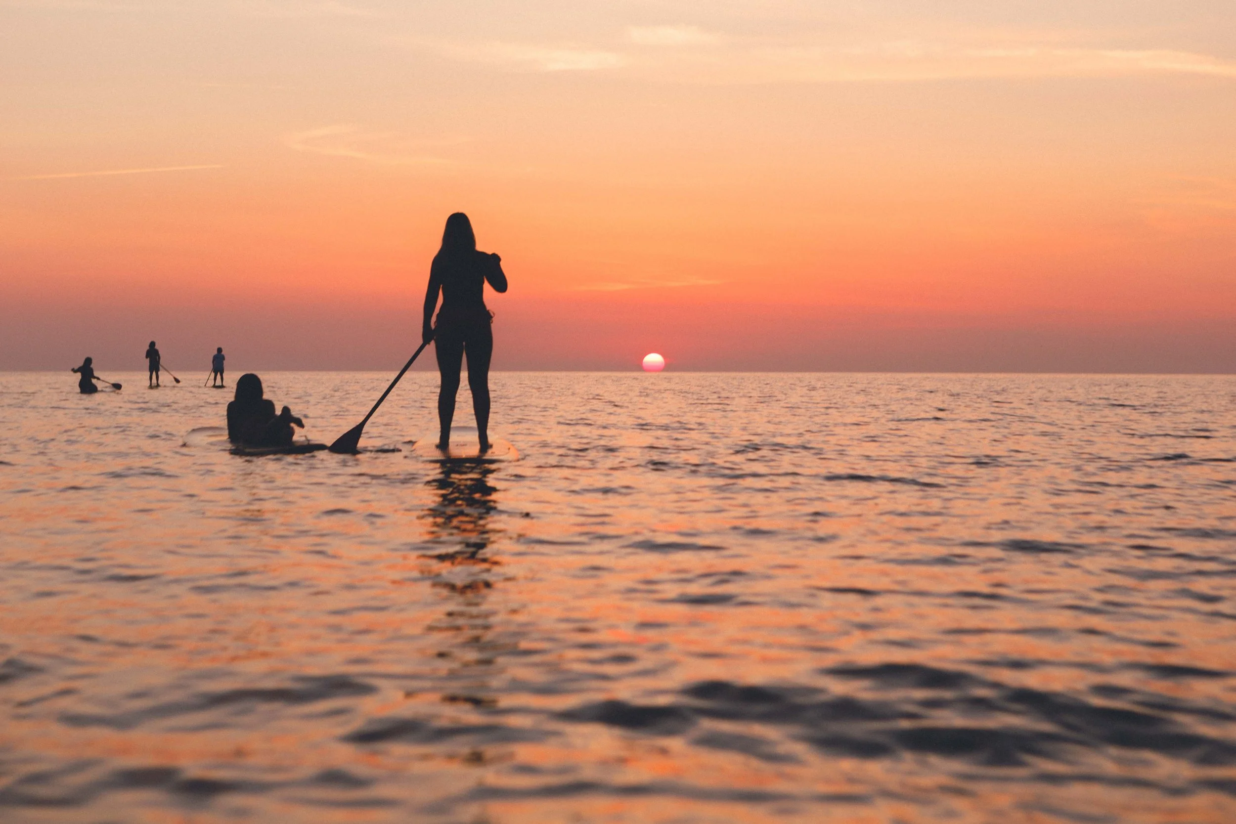 Pressbild Surflogiet13.JPG