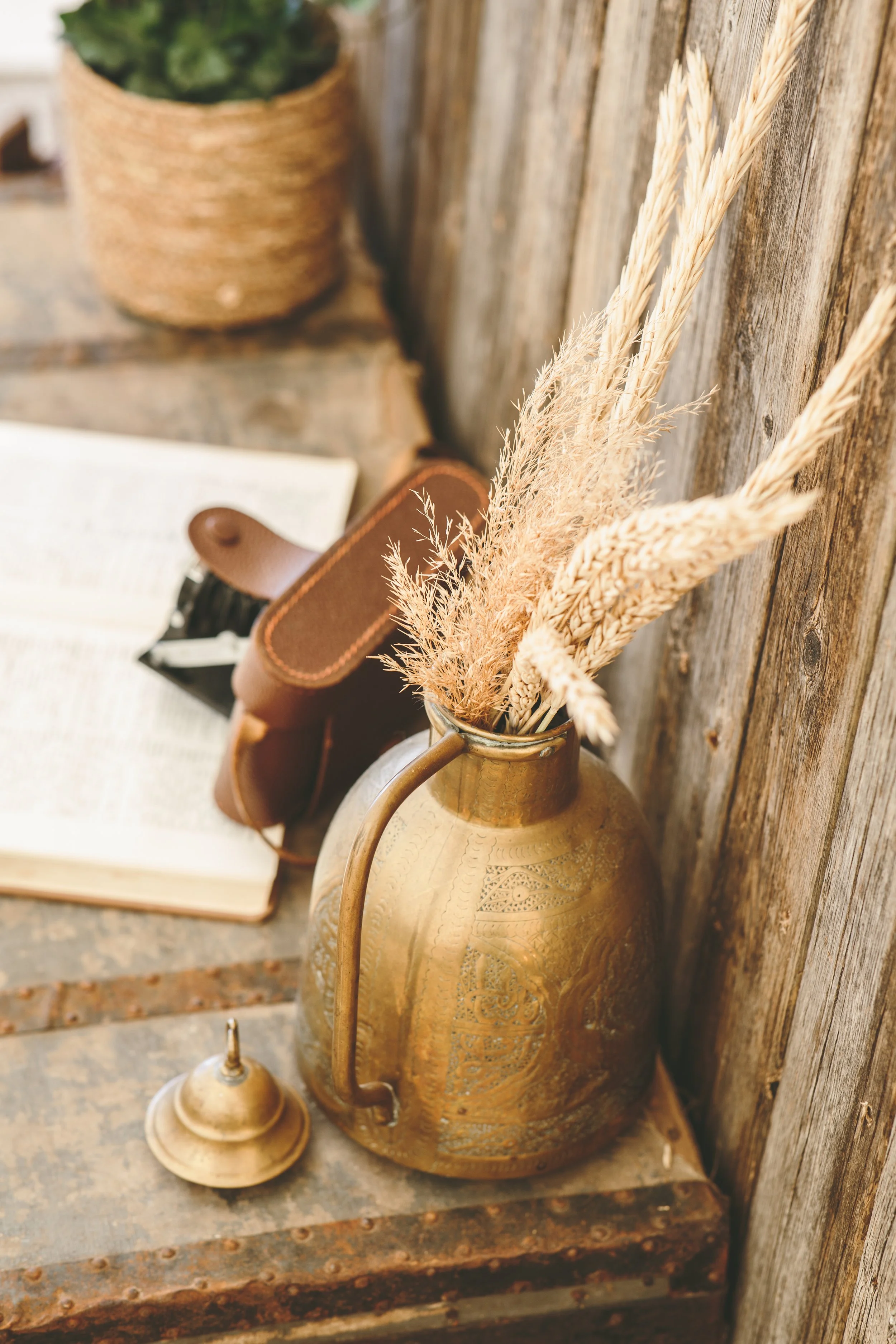 Pressbild Surflogiet28.jpg