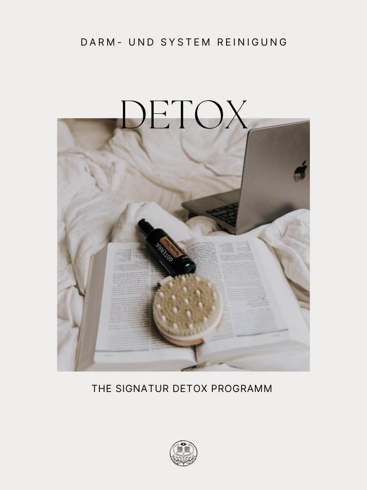 SYSTEM- &amp; DARM REINIGUNG