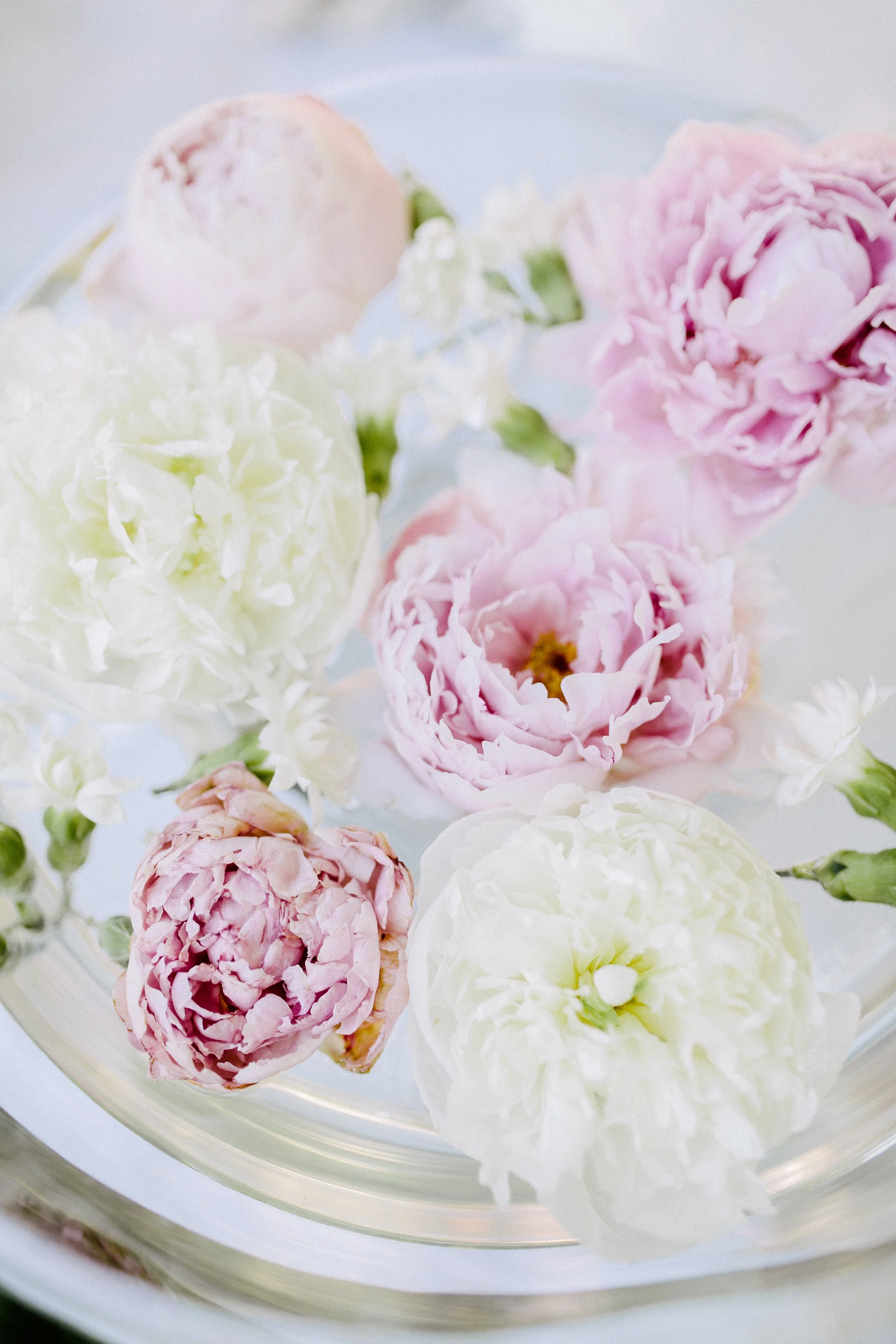 Ein Event für die Sinne 