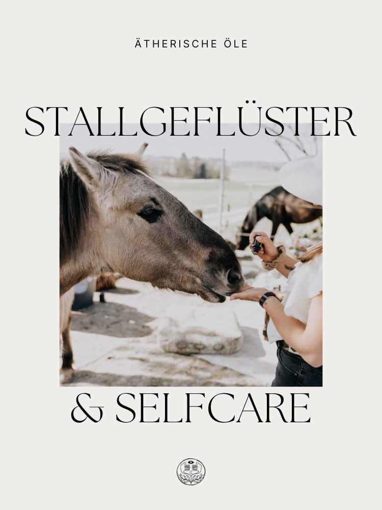 Stallgeflüster &amp; Selfcare: Warum dein Wohlbefinden die geheime Zutat für dein Pferd ist