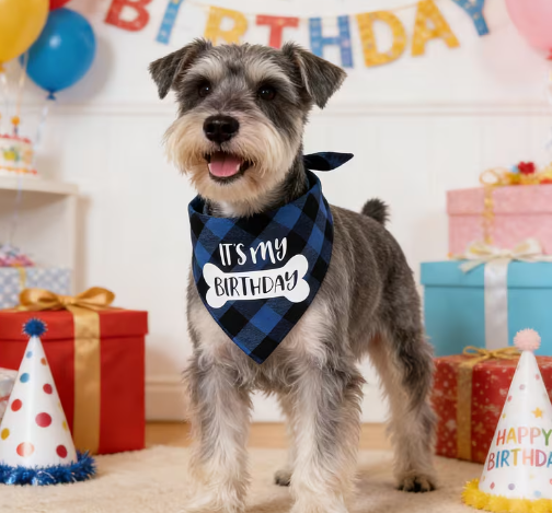Birthday Dog Bandana - Blue "Its My Birthday"