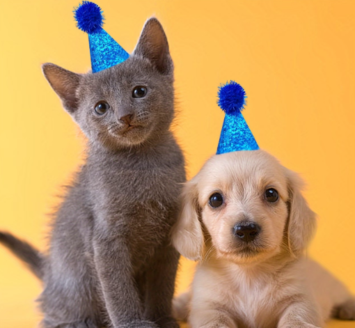 Screenshot 2026-03-11 184553.png