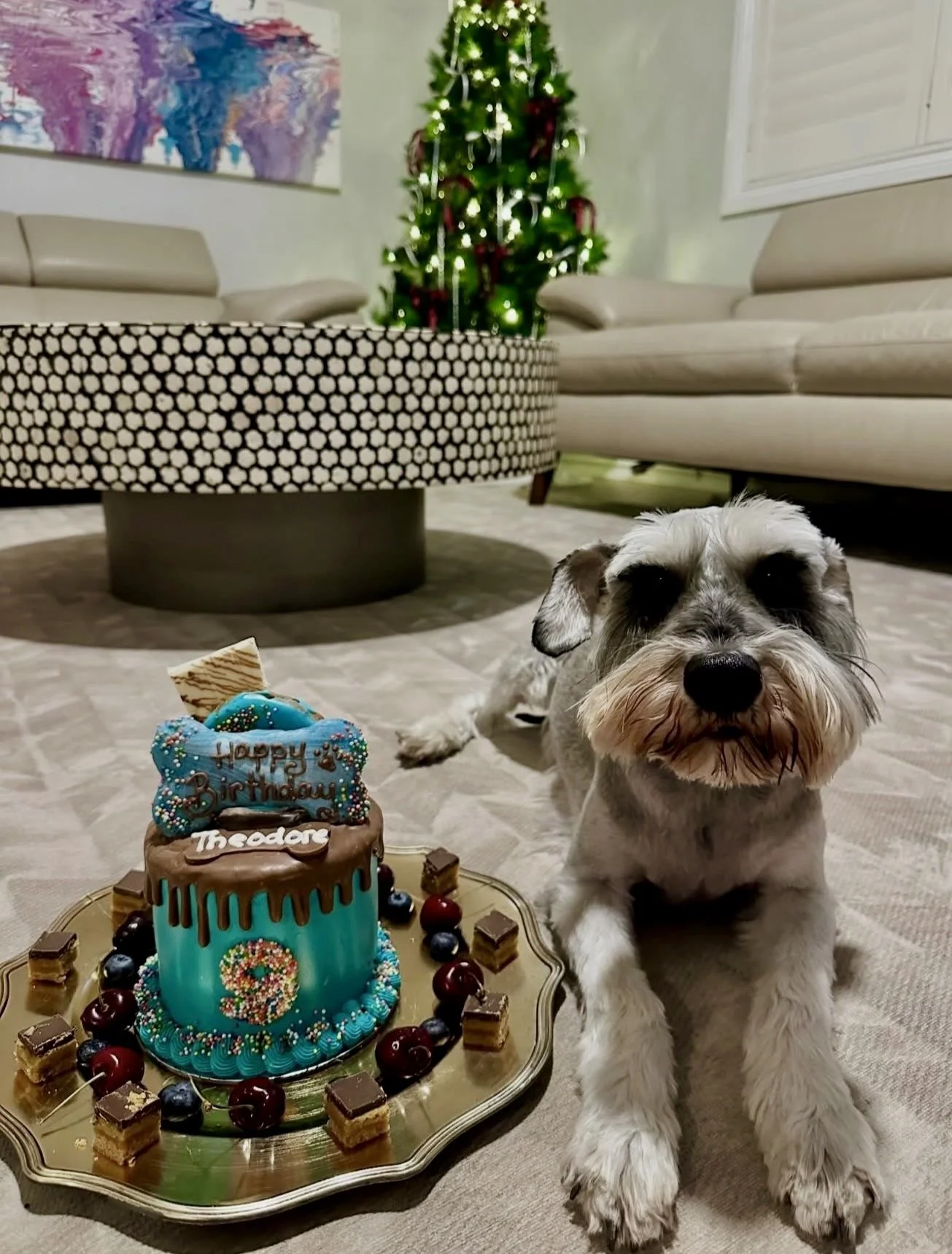 A small dog sitting on the floor in front of a birthday cake with a Christmas tree in the background. The cake has colorful decorations and a "Happy Birthday Teddy" topper. The room is decorated with a modern rug and artwork on the wall.