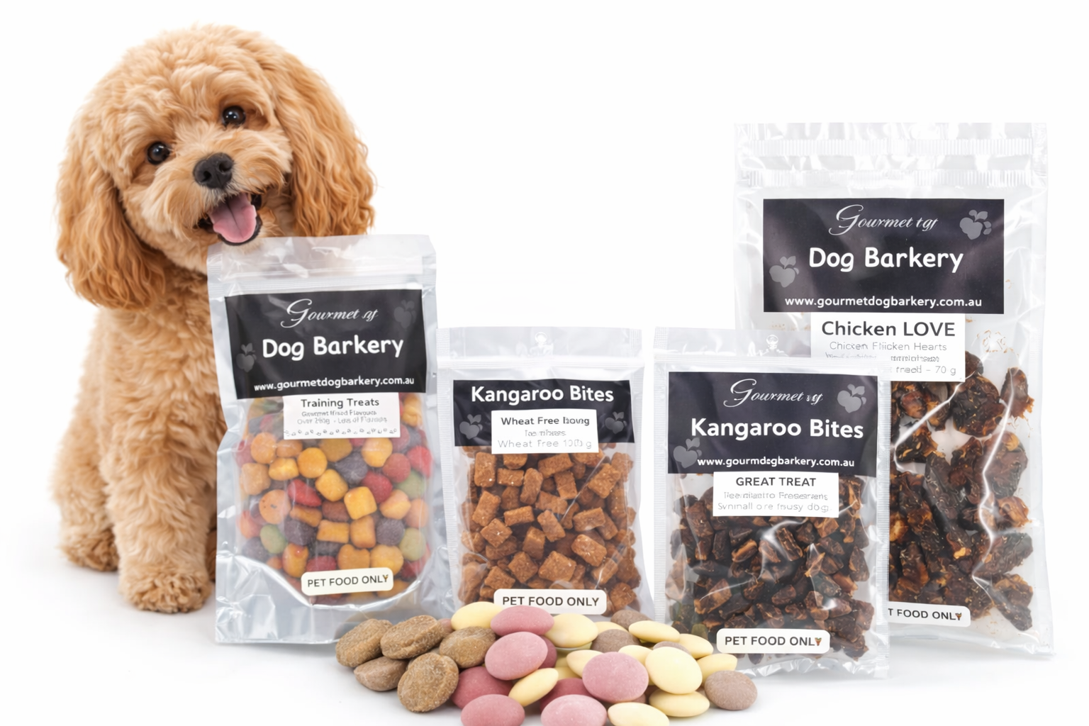 ChatGPT Image Apr 4, 2026, 10_31_04 AM.png