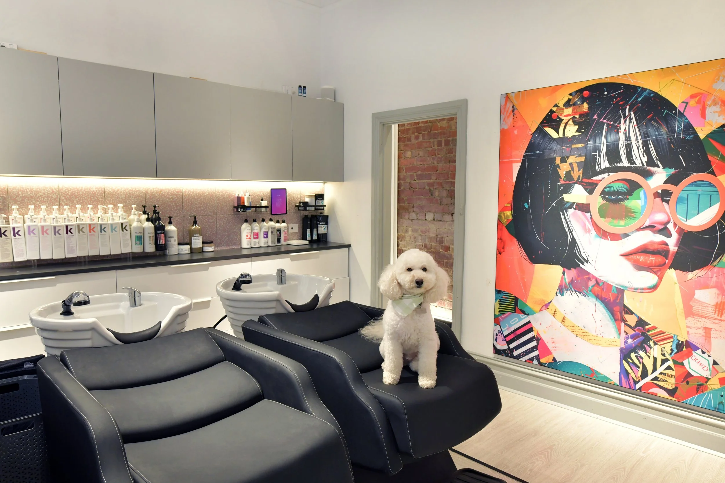 Salon 16 LR.jpeg