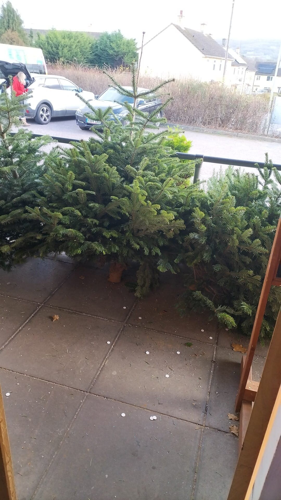 We have 4 real Christmas trees out the front of the Redwell Centre. Please help yourself, first come we will not hold.