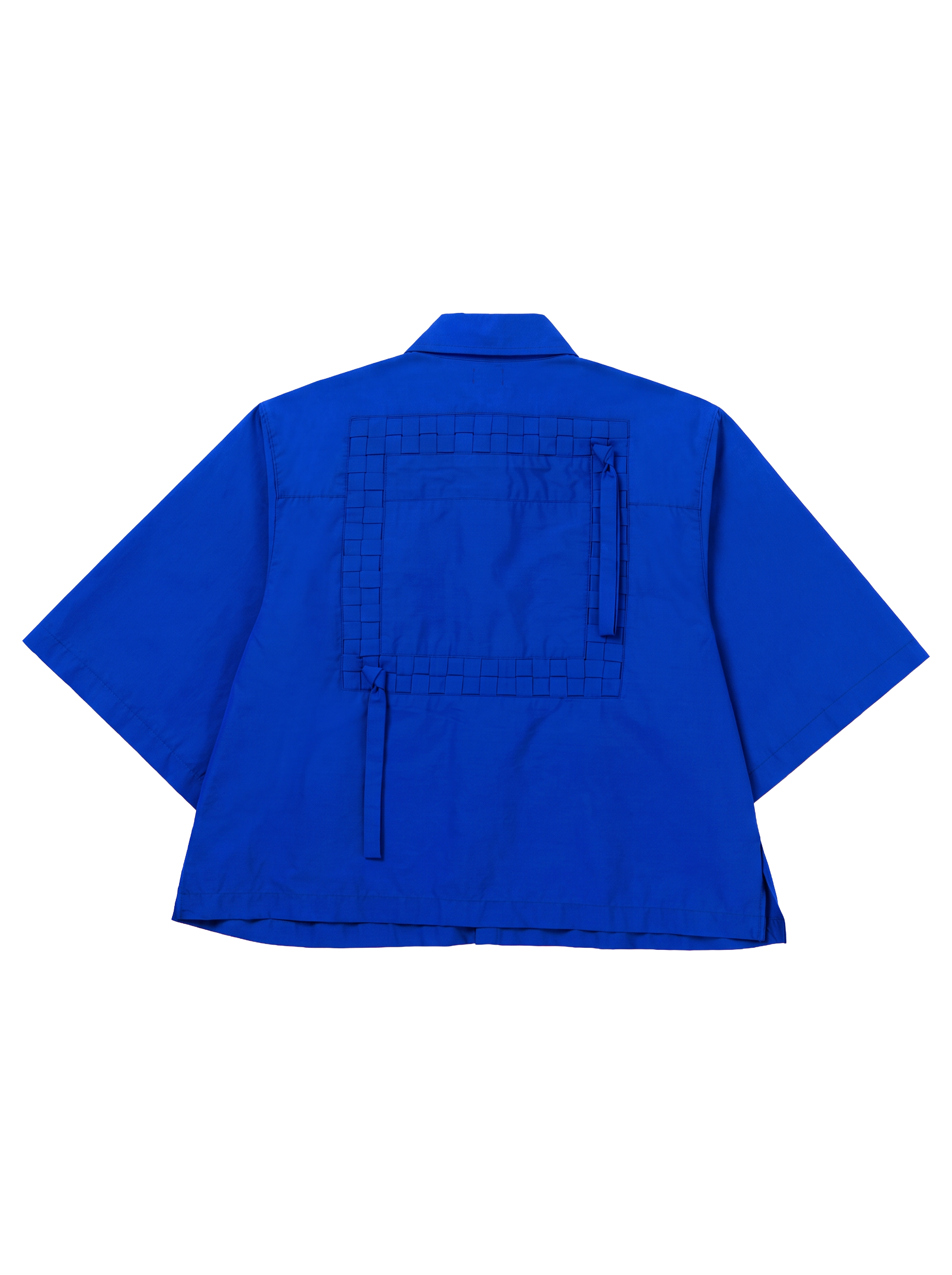 PH EDIT - Square cropped back Cobalt.png