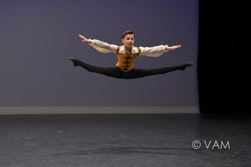 mathis harlequinade.jpg