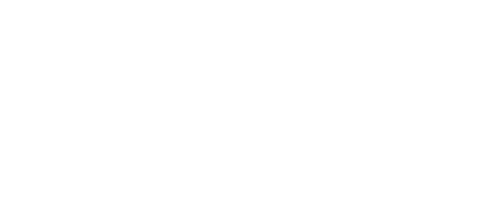 SINA | Your embedded, strategic thought partner. 