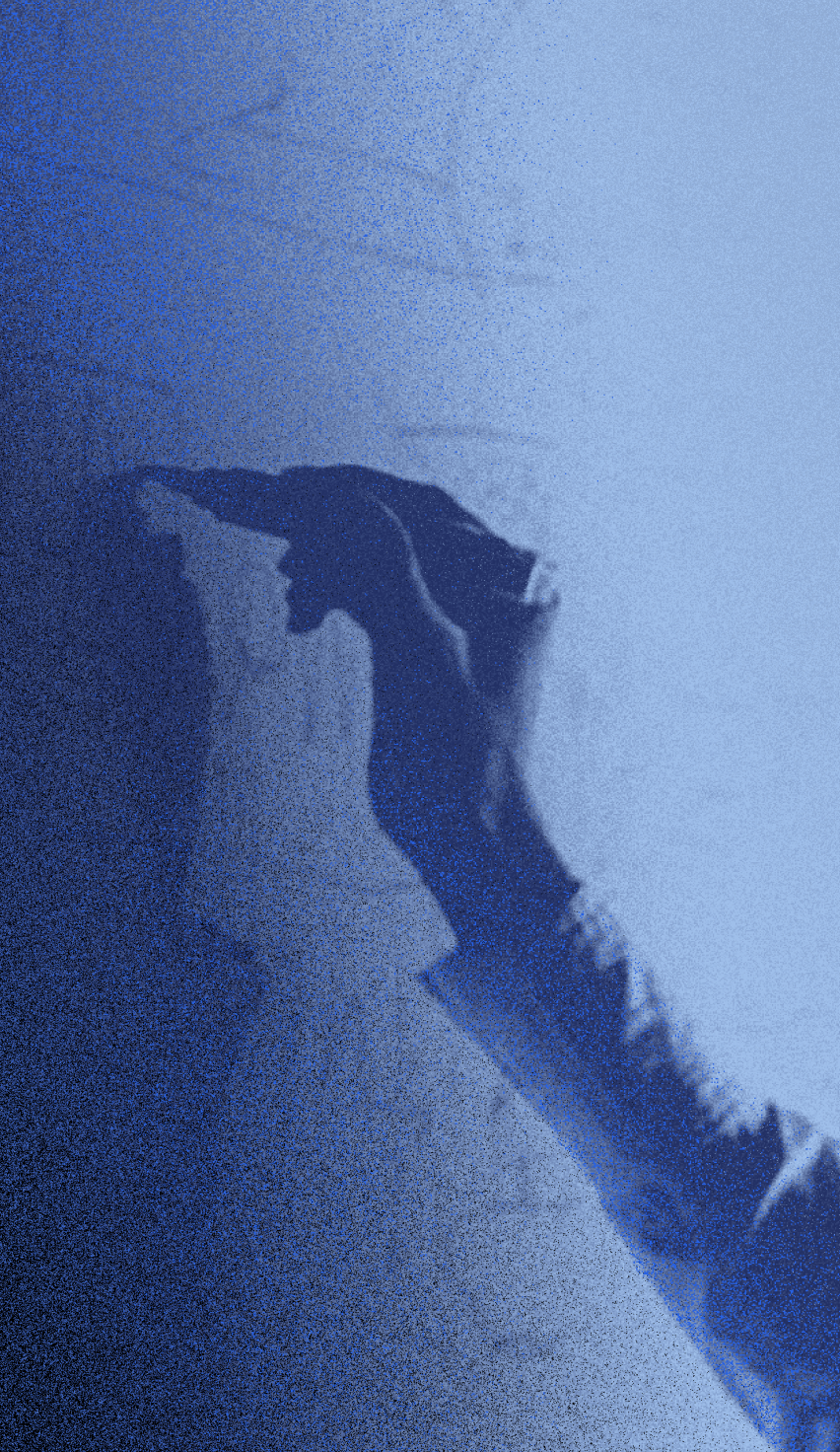 Abstract blue-toned silhouette of a figure, representing SINA's mission to help organizations navigate systemic change in education and economic opportunity