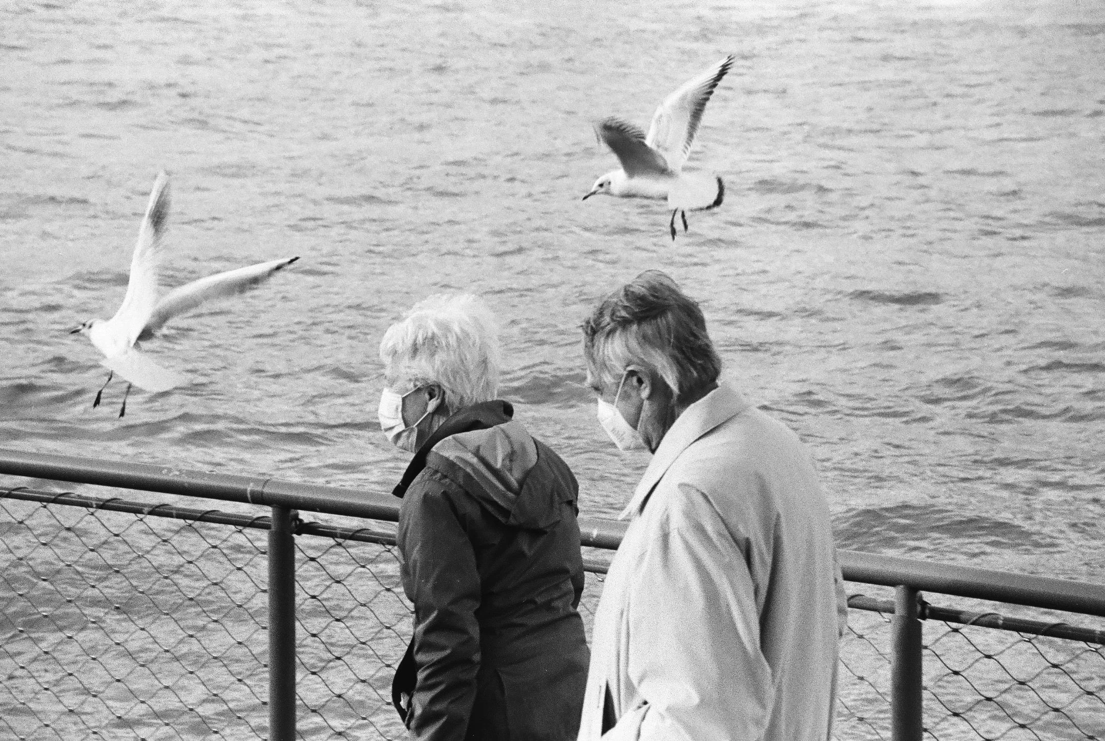 Satellites, Paris, 2022.jpg