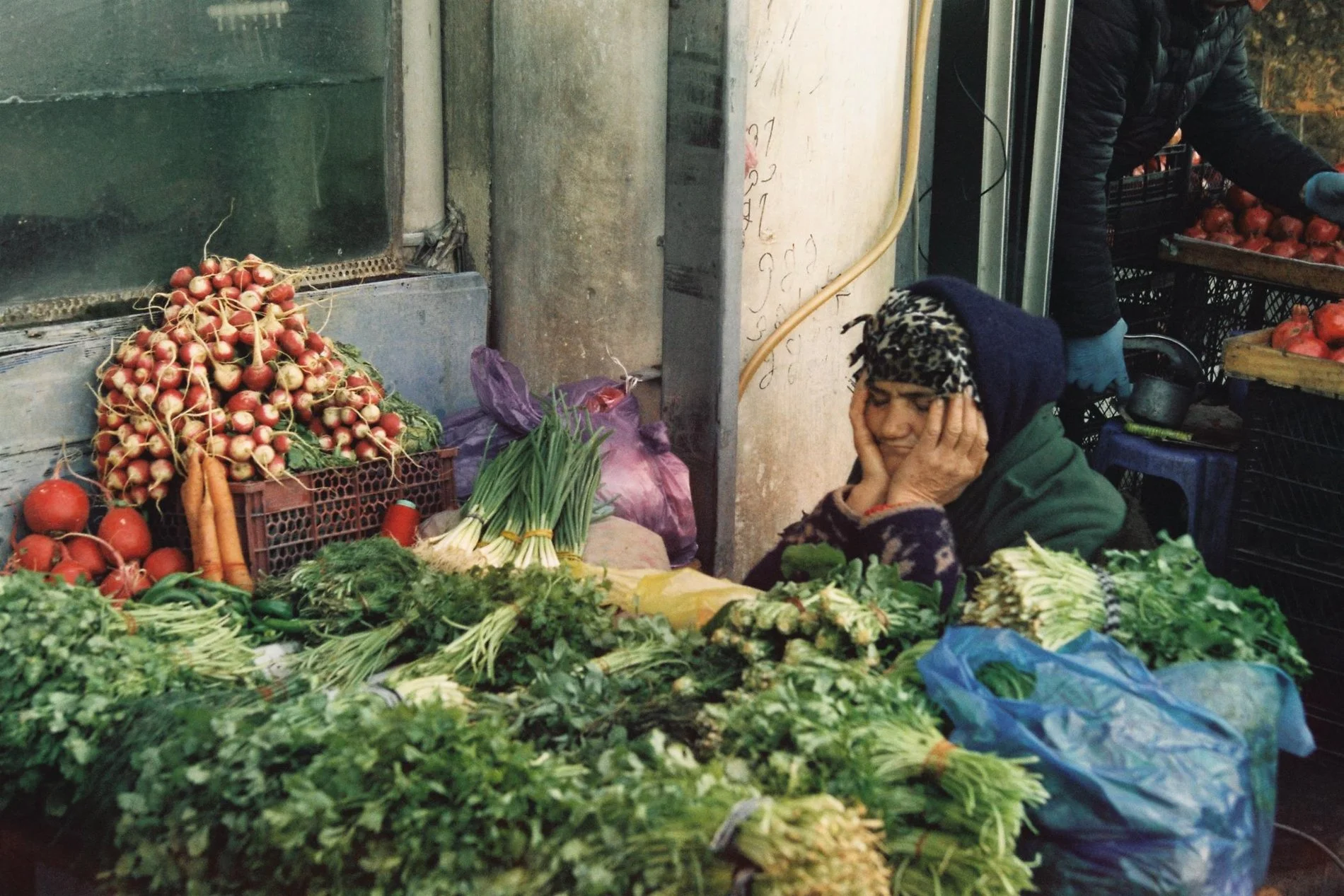 Sleeping at Work, Tbilisi, 2022.jpg