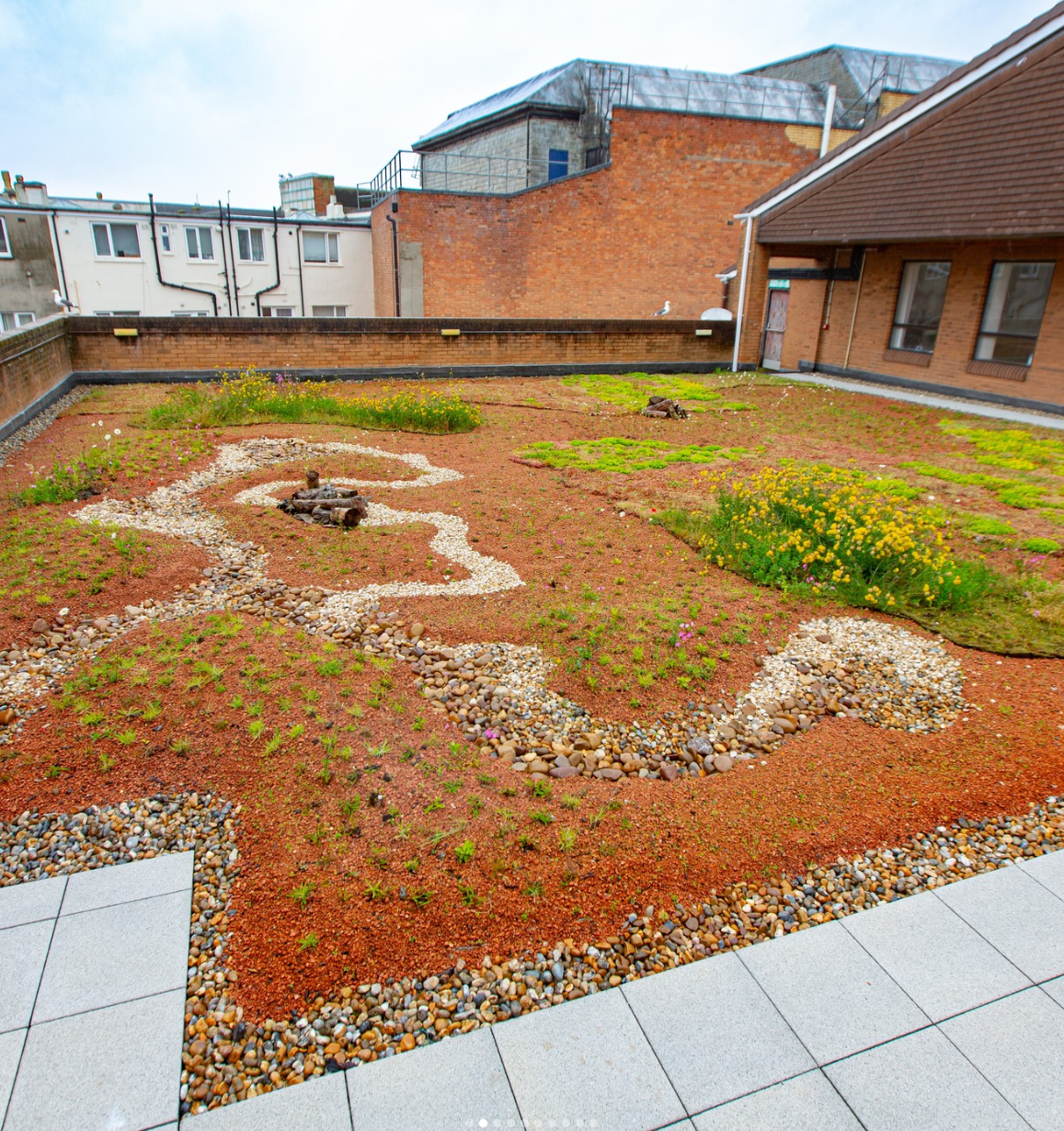 Green Infrastructure Rooftop