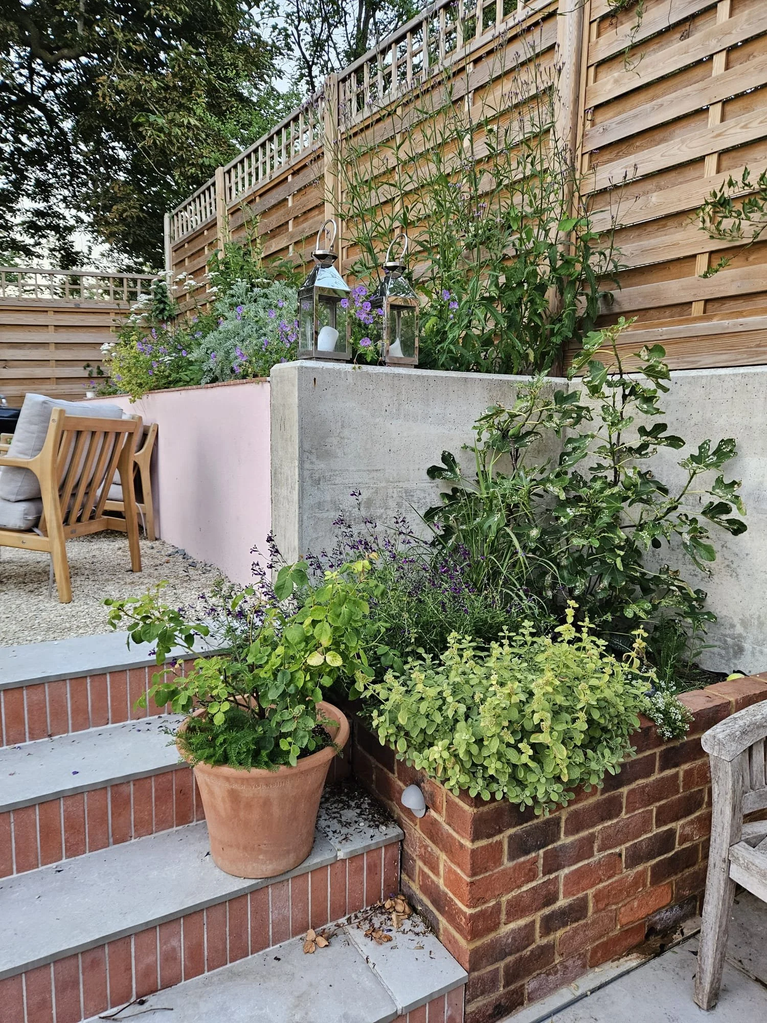 Productive Garden & Patio