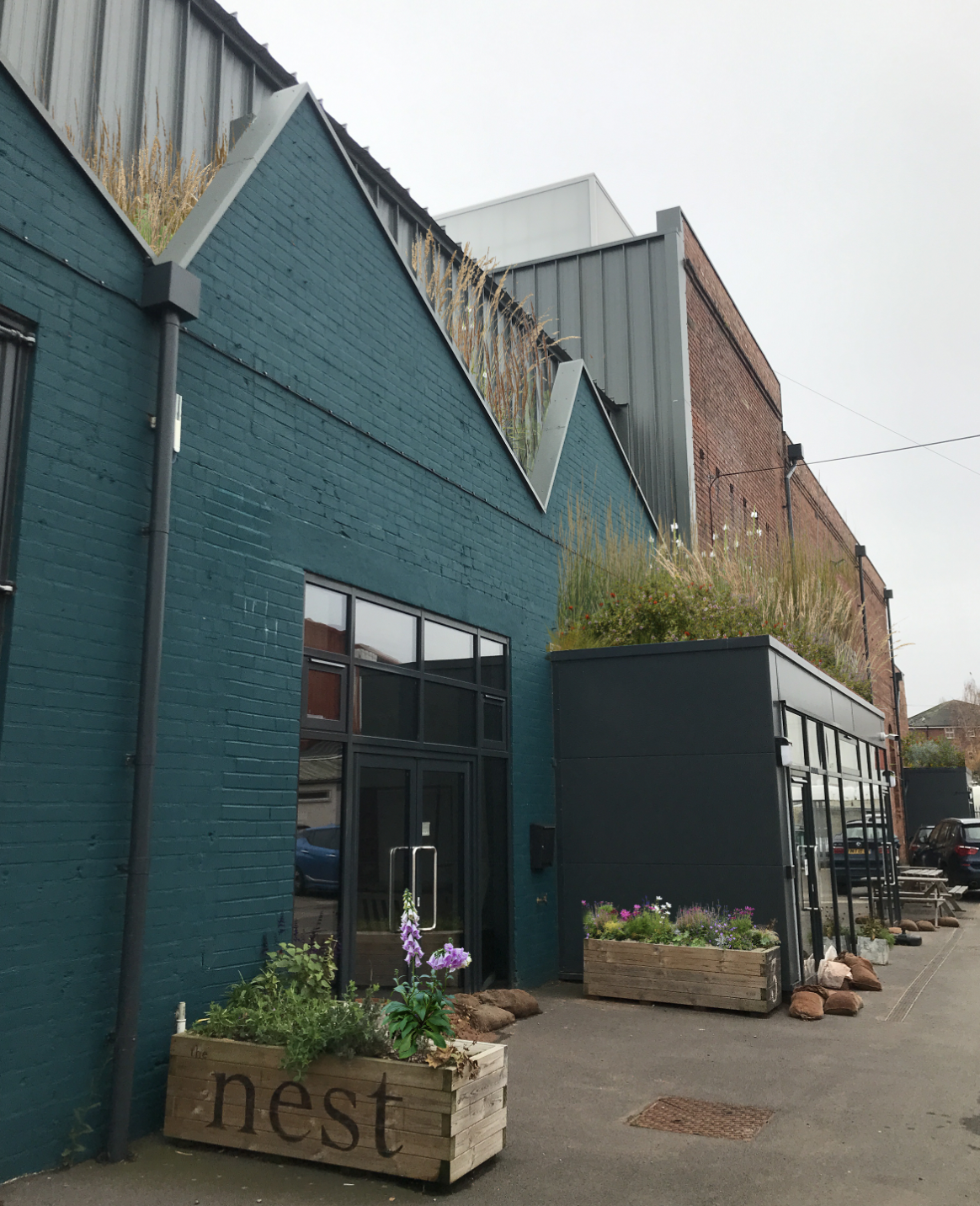 Artspace Biodiverse Green Roof