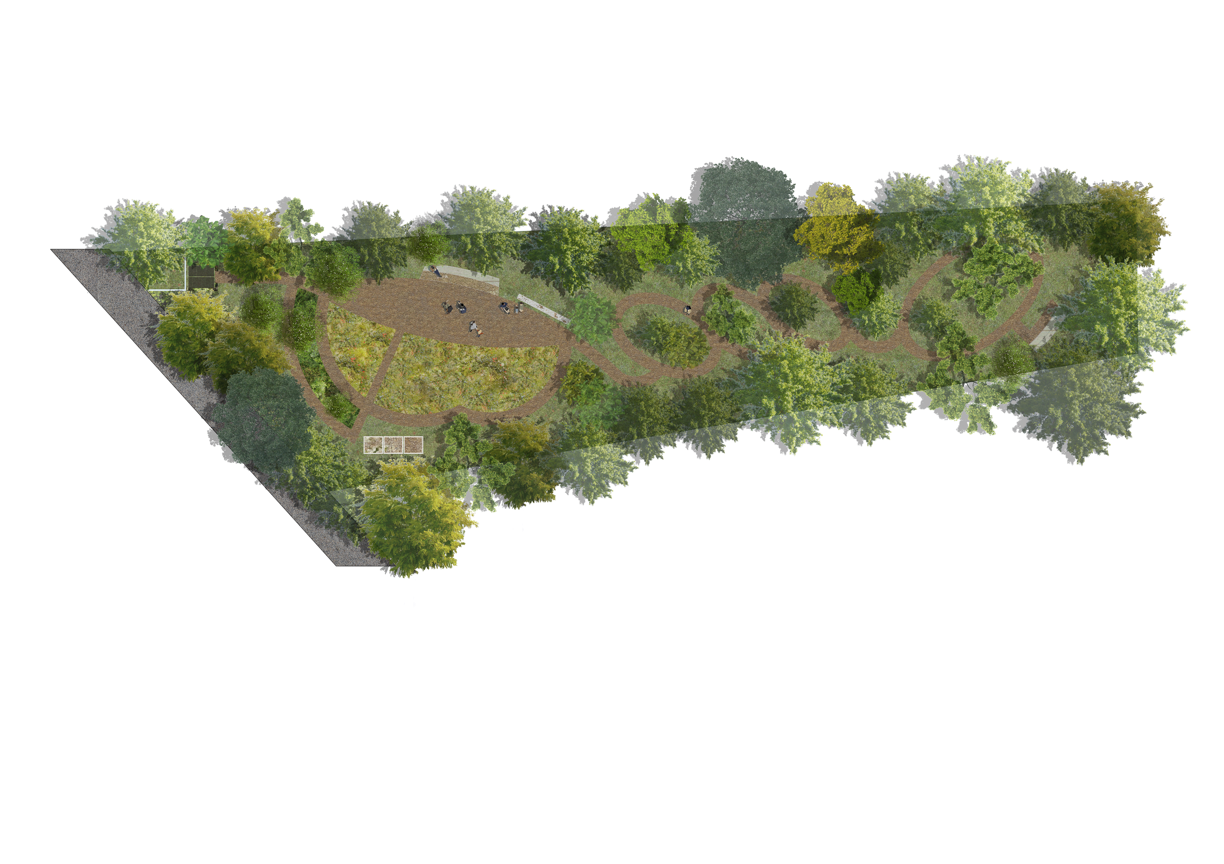 Food Forest & Wildflower Meadow
