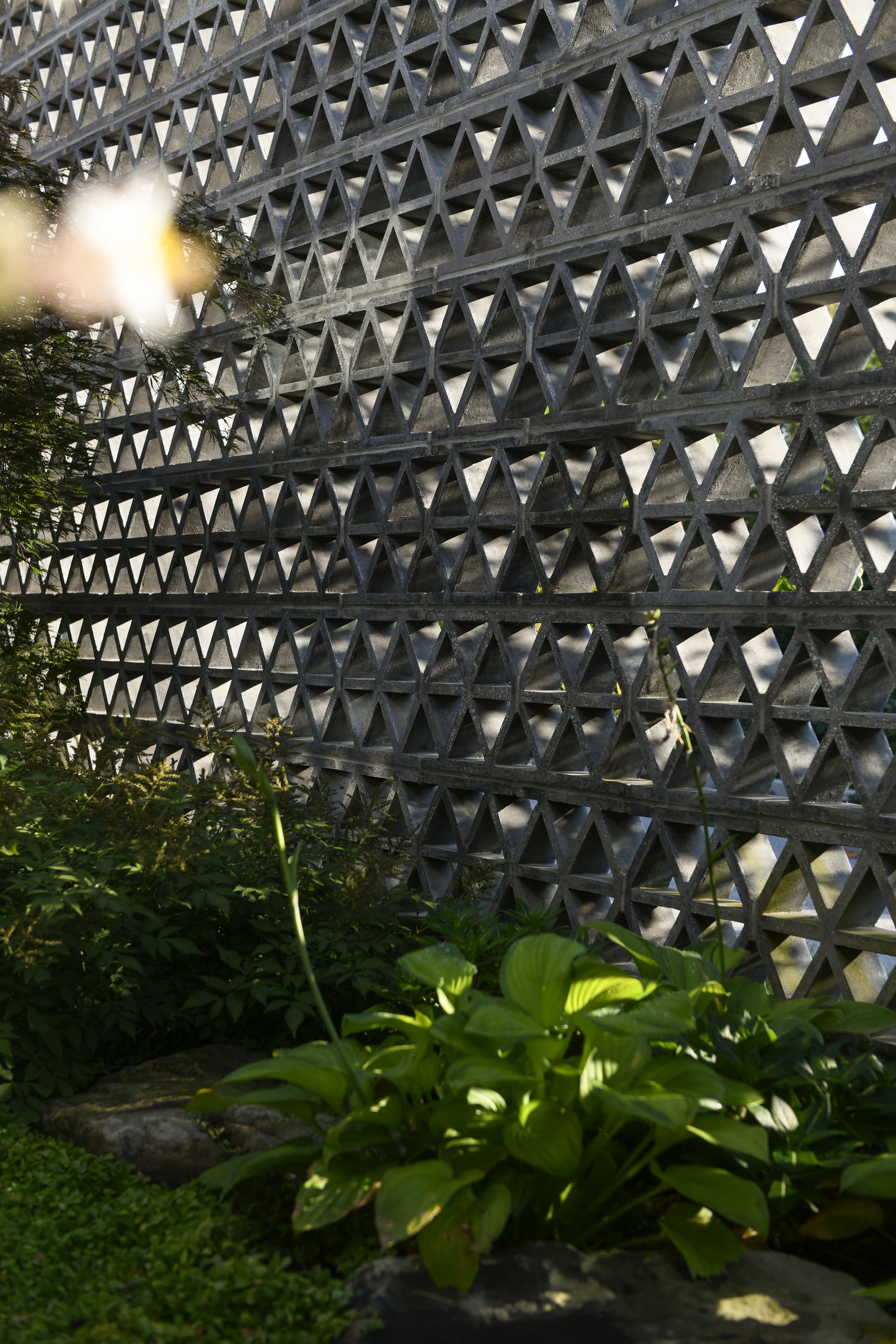 WIGHTMAN PROJECT_BRILLHARTxWEISSHOUSE_EK_WEB-12.jpg