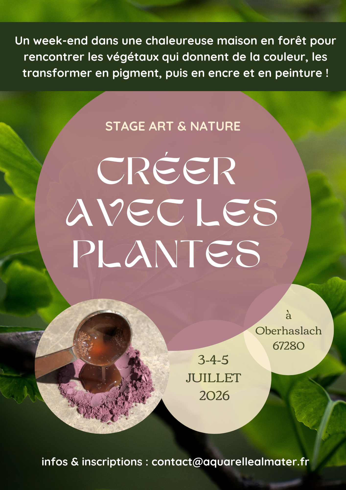 Stage "Créer avec les plantes : les pigments végétaux"