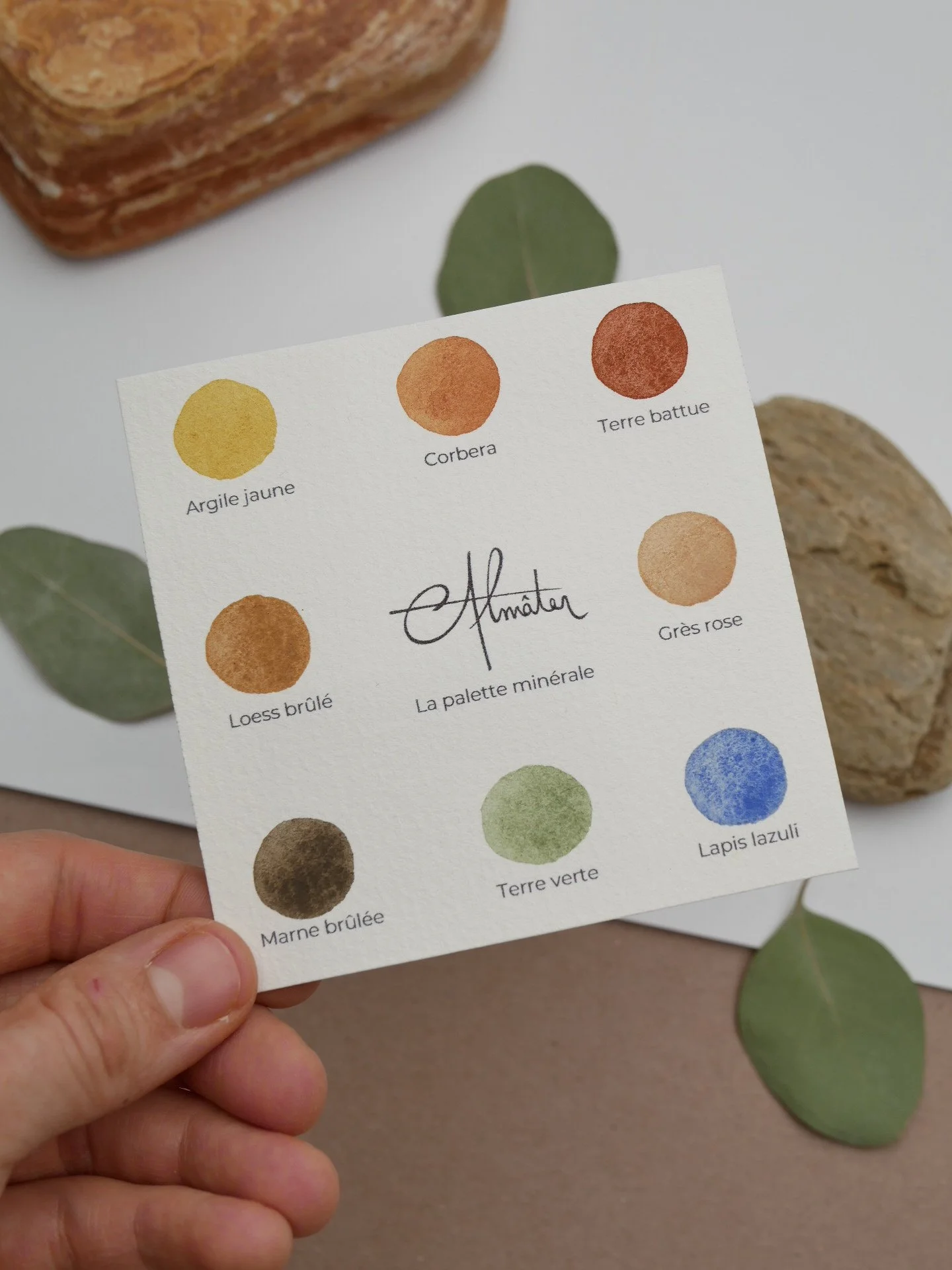 Shoot palette022.JPG