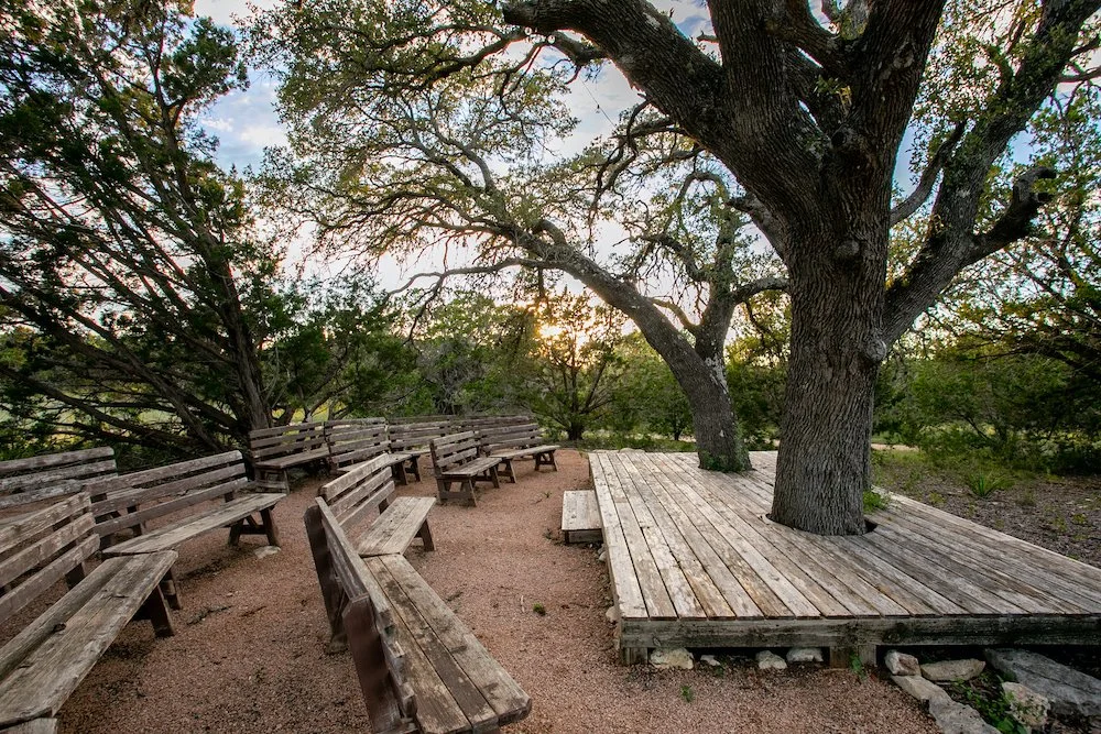 Three Sisters tree deck