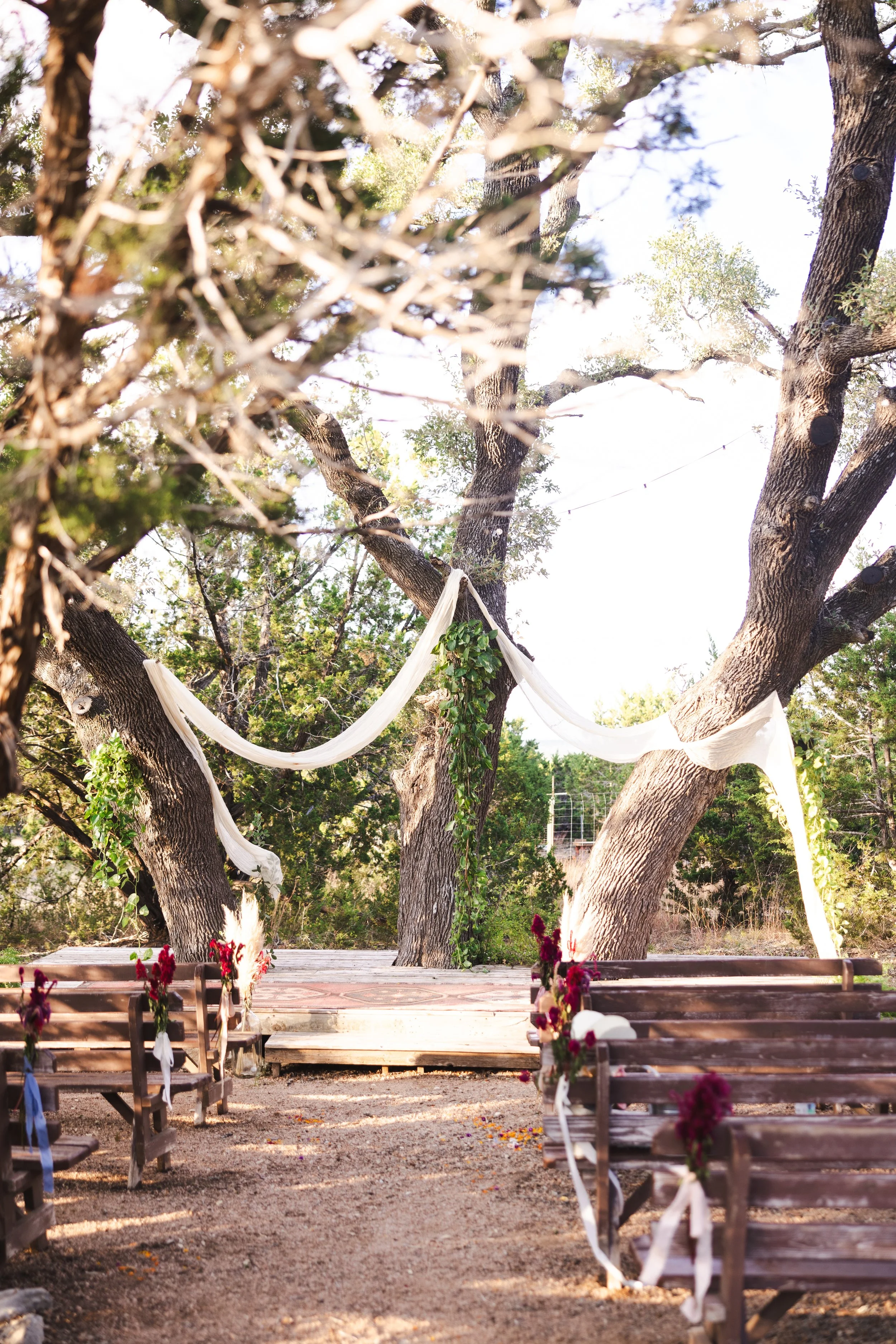 Outdoor wedding ceremony set up with wooden benches decorated with flowers and ribbons, an arch draped with white fabric and greenery, under large trees on a sunny day.