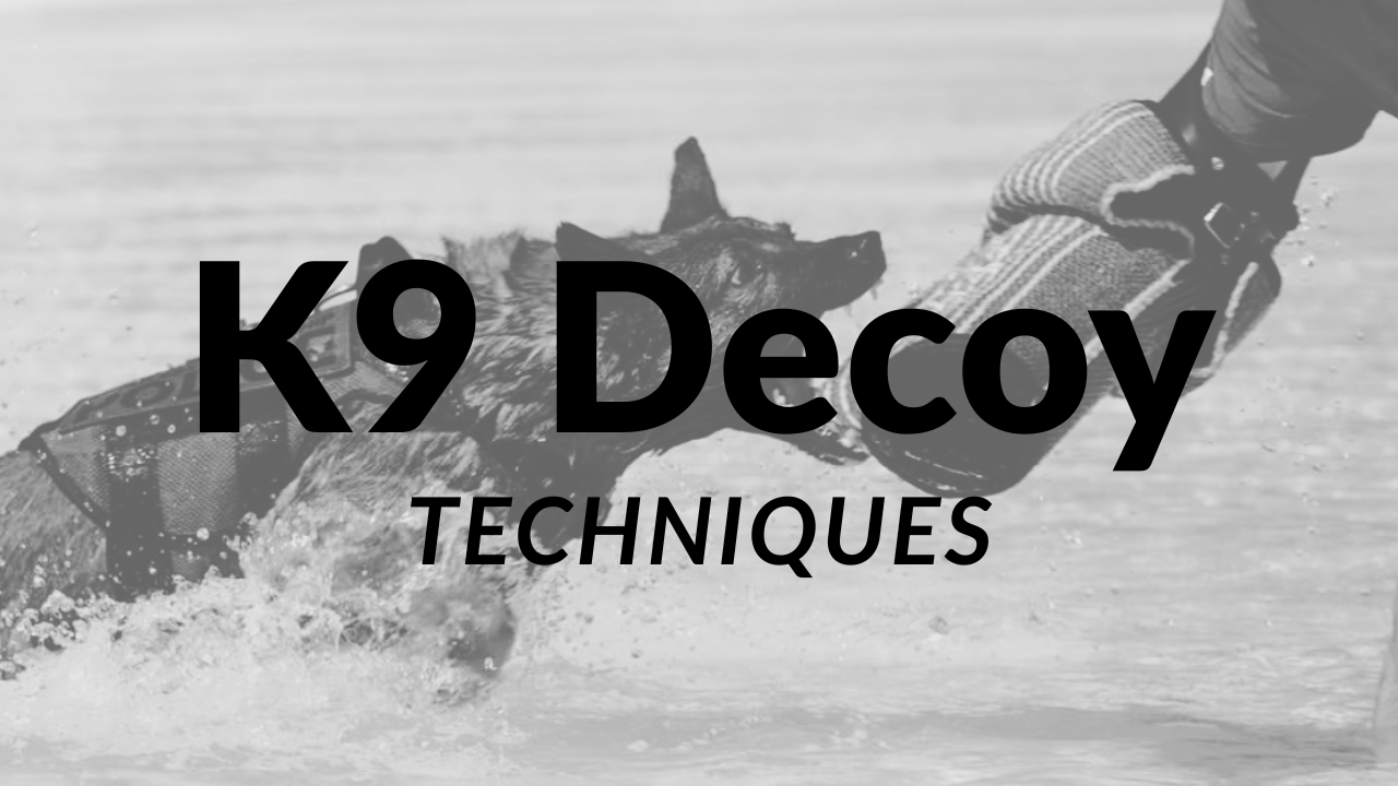 K9 Decoy Techniques