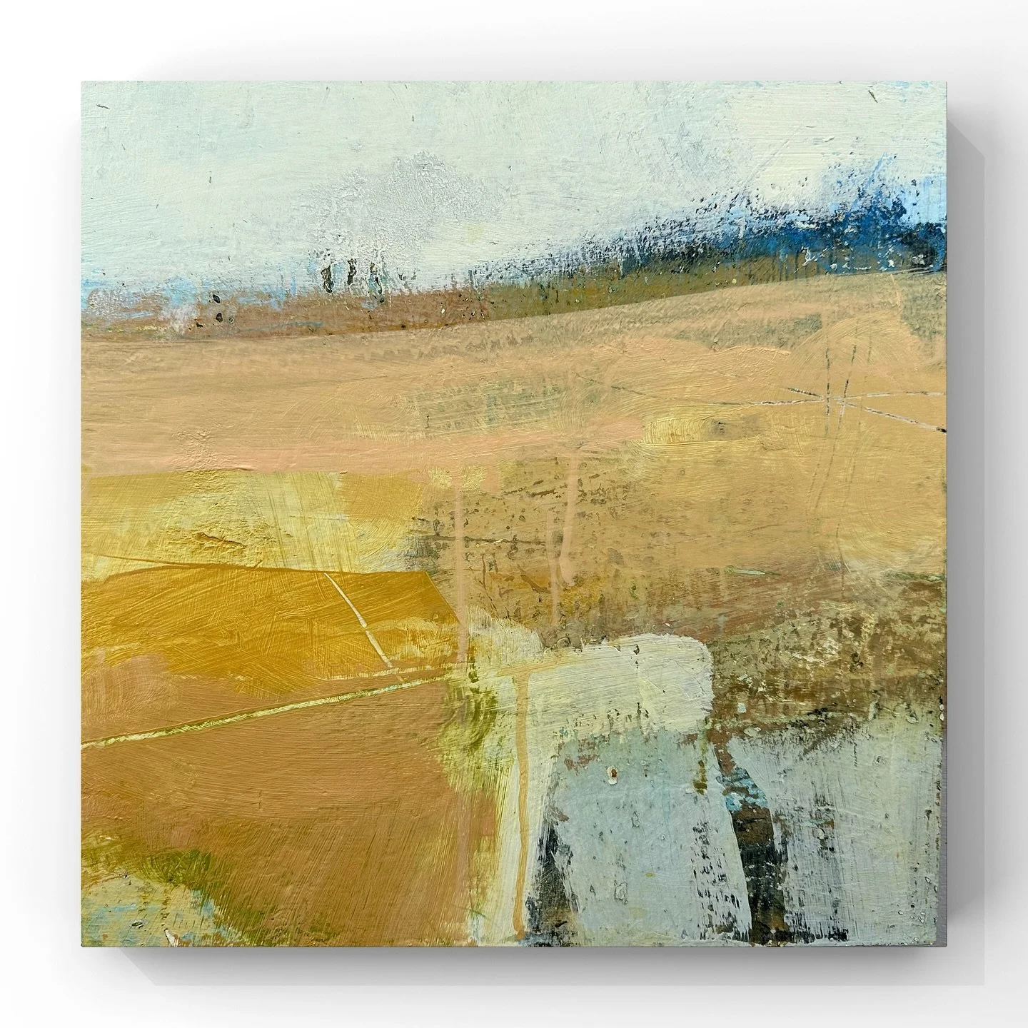&lsquo;summer light&rsquo; acrylic and mixed media. 20 x 20cm

#contemporarylandscapes #modernlandscape #contemporarylandscapepaintings #expressivearts
#artprocess #workinprogress #abstractpaintings #contemporary_abstract #contemporarypaintings #coll