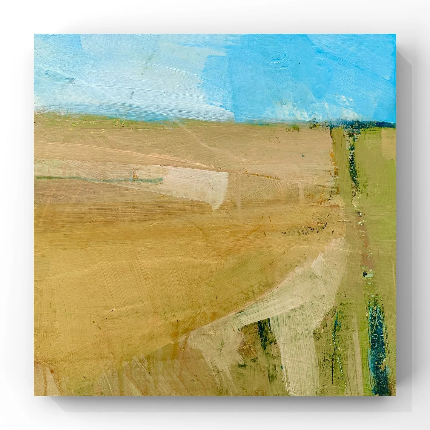 &lsquo;Lower Heath&rsquo; A little less abstract than the previous posts but that&rsquo;s where the painting wanted to go. 30 x 30cm cradled board 

#contemporarylandscapes #modernlandscape #contemporarylandscapepaintings #expressivearts
#artprocess 