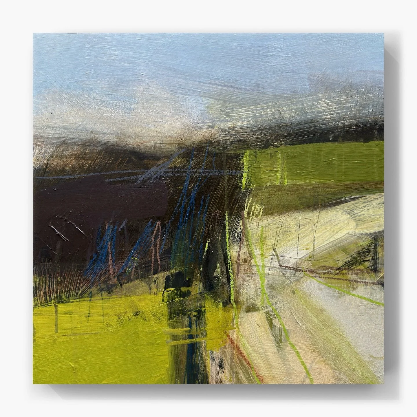 &lsquo;Boundary in Motion&rsquo;

Another wild, windy day. I live in one of the highest villages in North Hertfordshire, and we&rsquo;re completely exposed to the elements, which can be bracing, but it does gift us with spectacular ever-changing scen