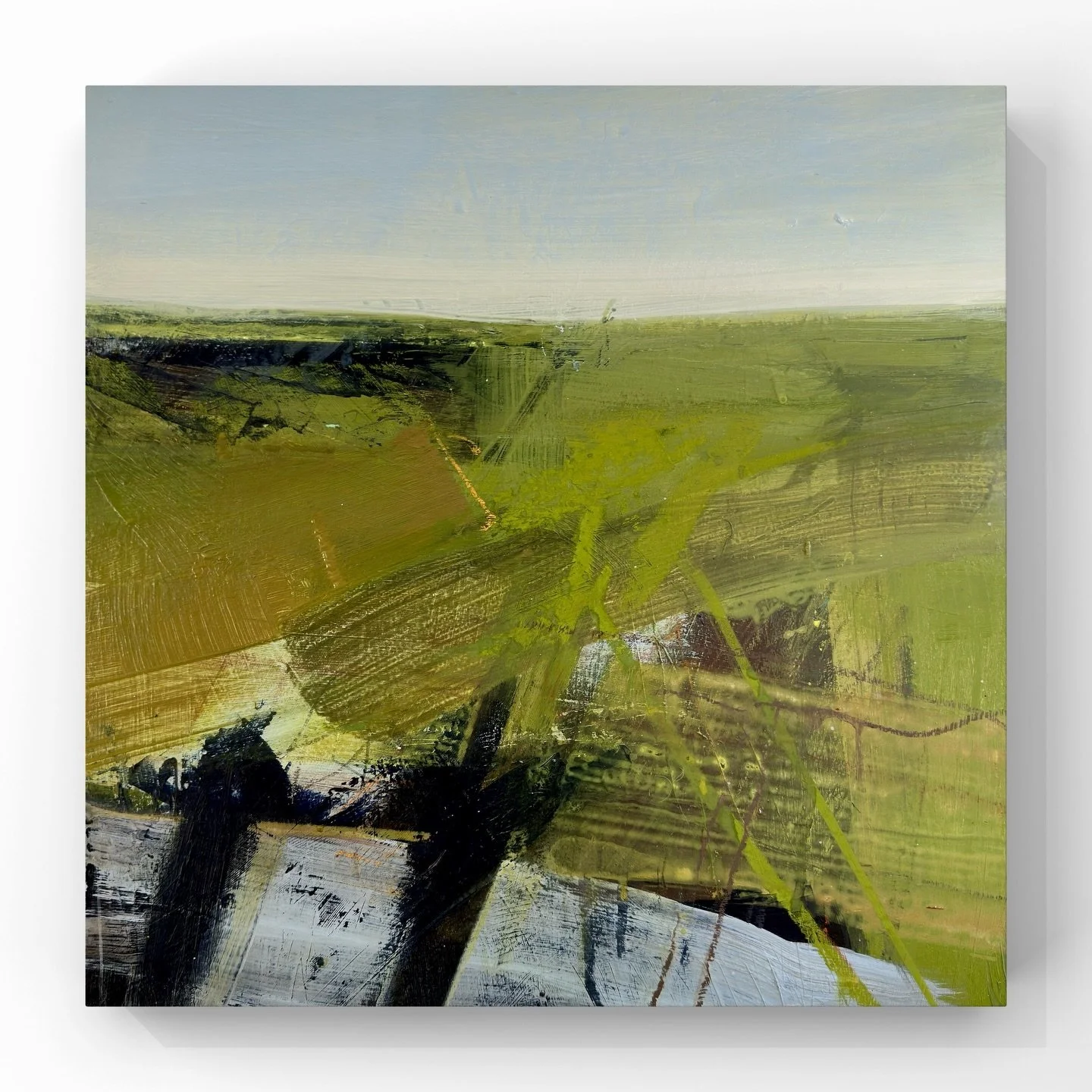 &lsquo;Lightning tree walk&rsquo; Really enjoying the challenge of painting in February.