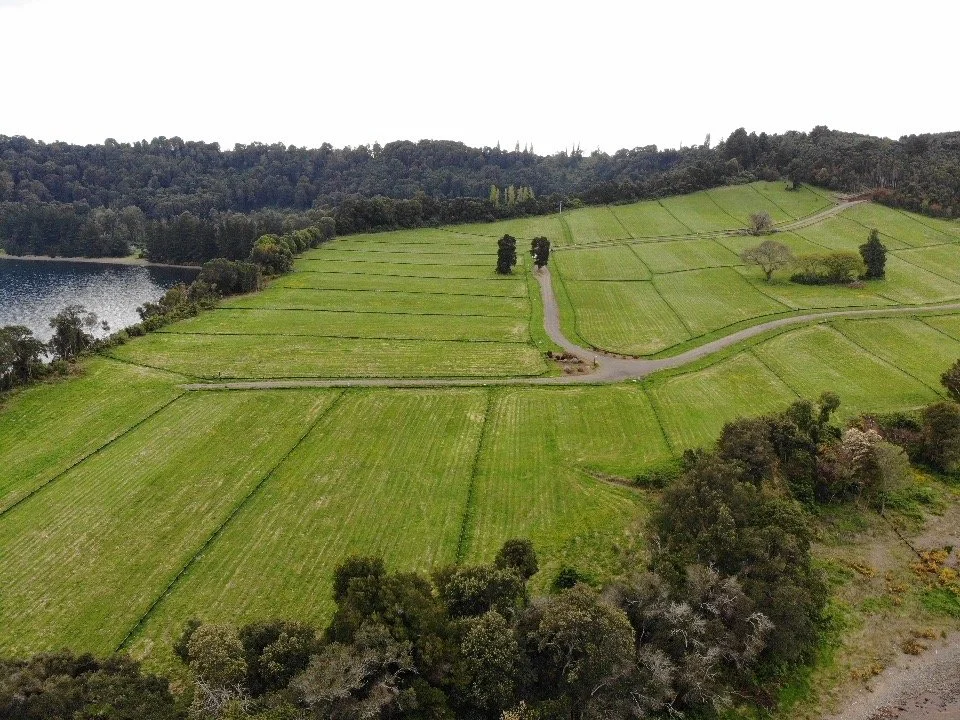 Diseño y Arquitectura Sustentable en Chile