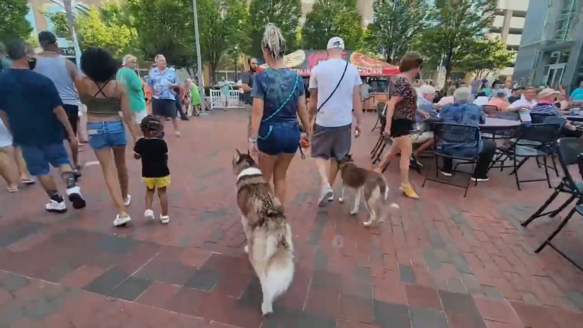 City Heel Walk | Hampton Roads Off Leash Dog Training