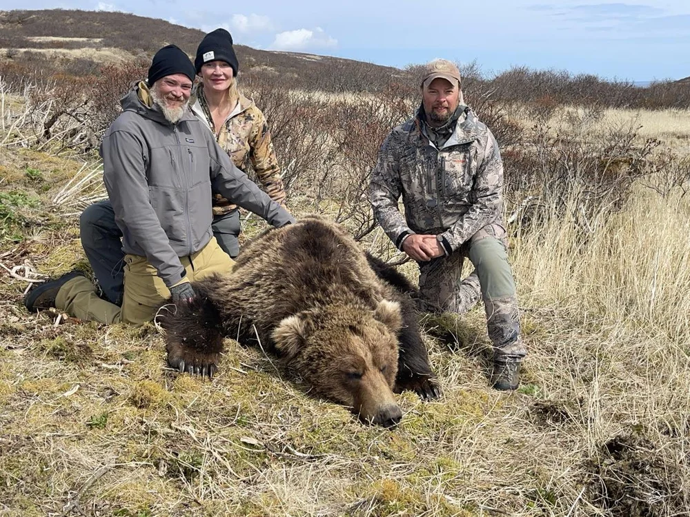gwbear.jpeg