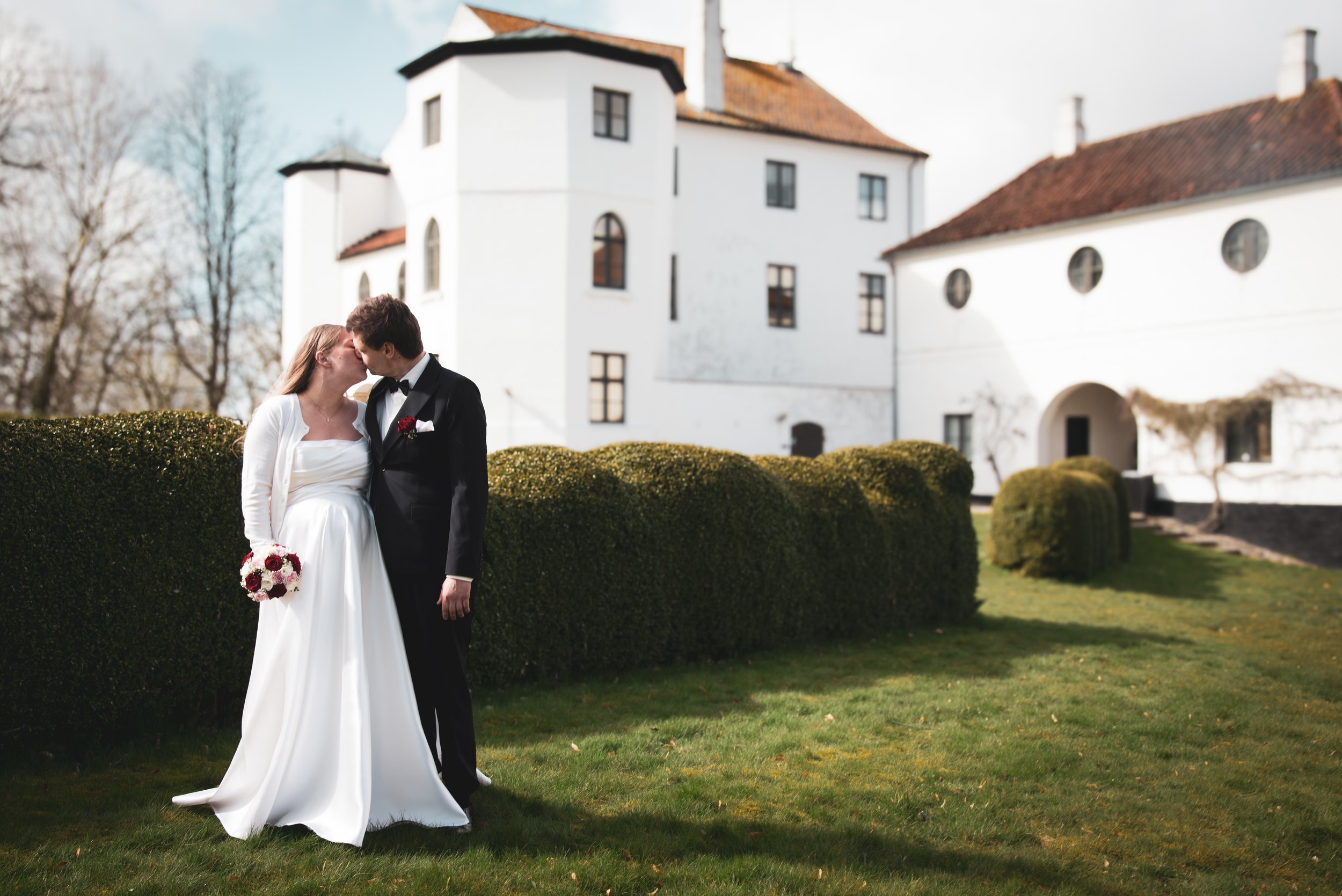 Warm contrast 2024-NRN_8928.jpg