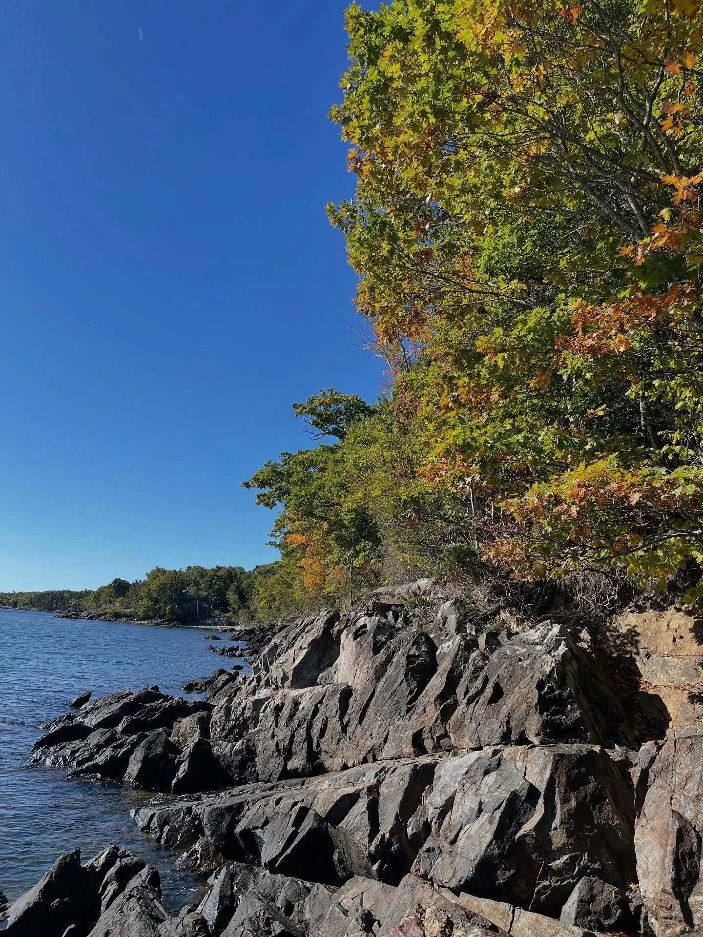 Happy Autumn! Join me for class at Orleans Yoga this week (abridged teaching schedule this week):
~Monday&bull; 4:15&ndash;5:15 pm
~Tuesday &bull; 9:15&ndash;10:30 am
Hope to see you on your mat!💙