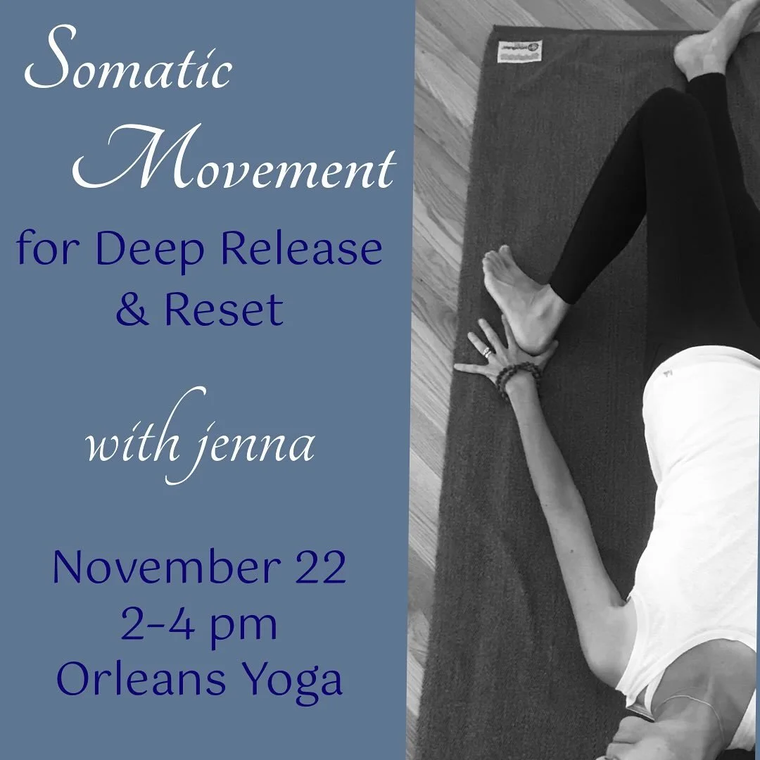 Heading into deeper Autumn, we prepare to follow Nature&rsquo;s cues into a time of quietude and reflection without relinquishing our vibrancy. Join me for a special workshop in which we&rsquo;ll have the luxury of time for soft slow movement and qui