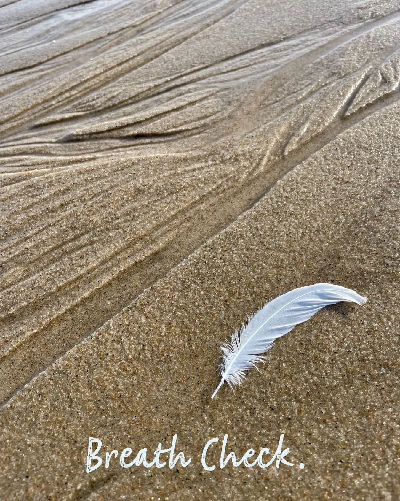 Listen to the sound of breath in your body. Breathe in. Breathe out. We take over 23,000 breaths each day, each one of us. How many of those do we actually pay attention to...or even notice at all? Checking in with the breath is a way to &ldquo;prese