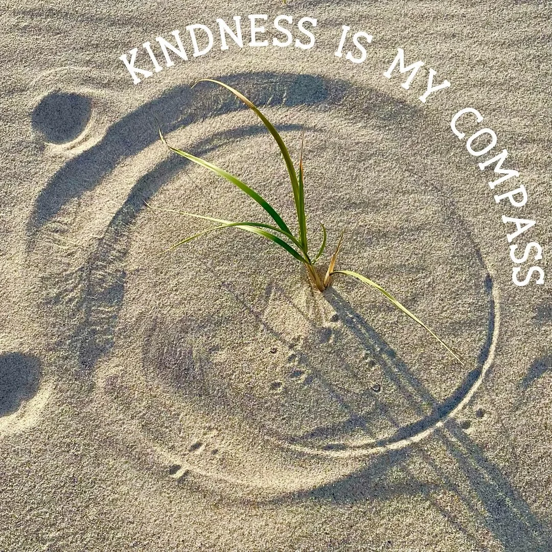 keep your compass with you. 🩵

The old timers called beach grass compass grass ~ ammophila breviligulata (the sand lover).