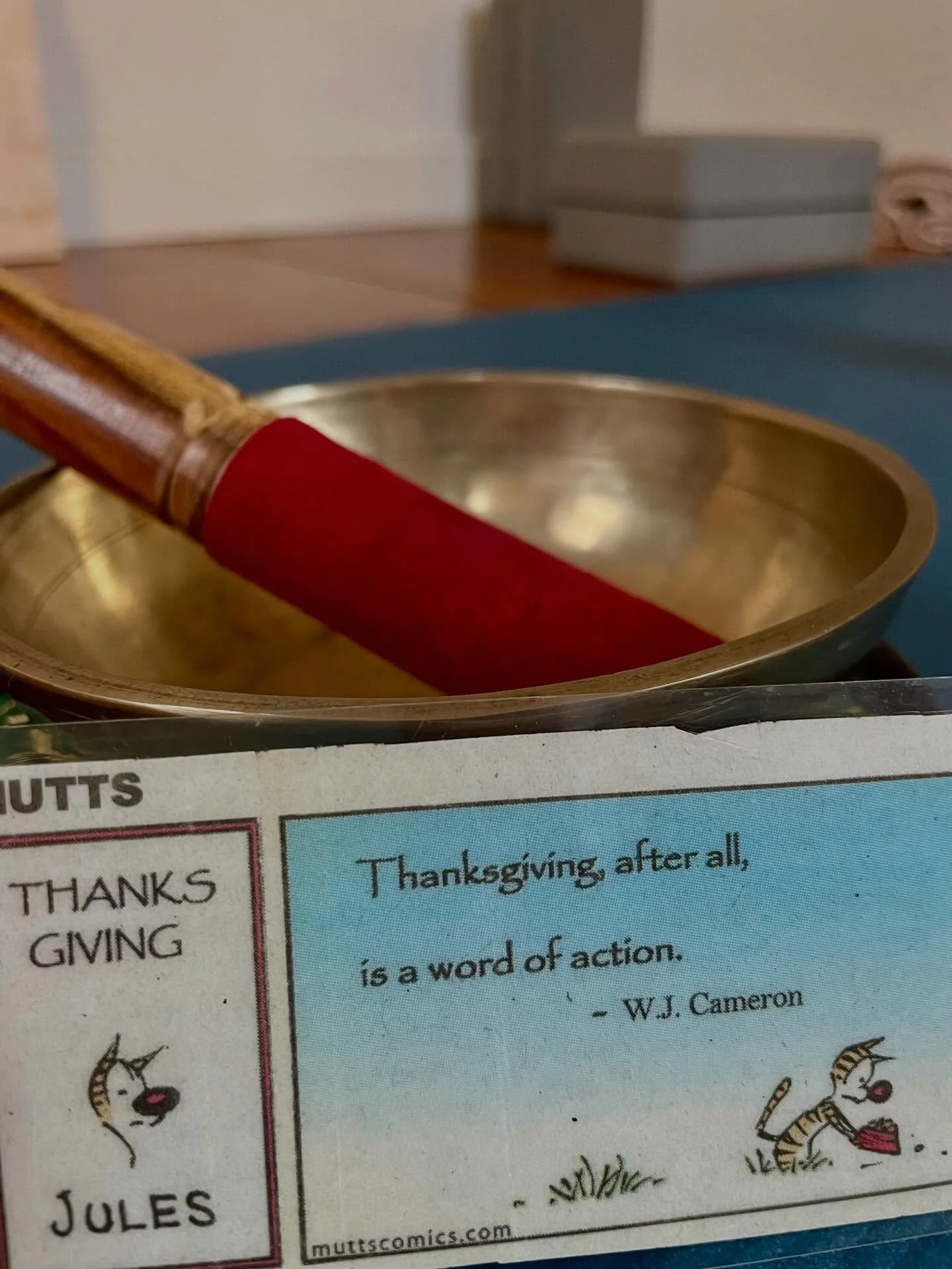 100% of proceeds from this Tuesday&rsquo;s 4:30 Chatham class are being donated to The Family Pantry. I hope you&rsquo;ll join me on your mat 💛. 880 Main Street.

Backstory on the comic: In 2008, I cut this out of my Mom&rsquo;s copy of the Boulder 