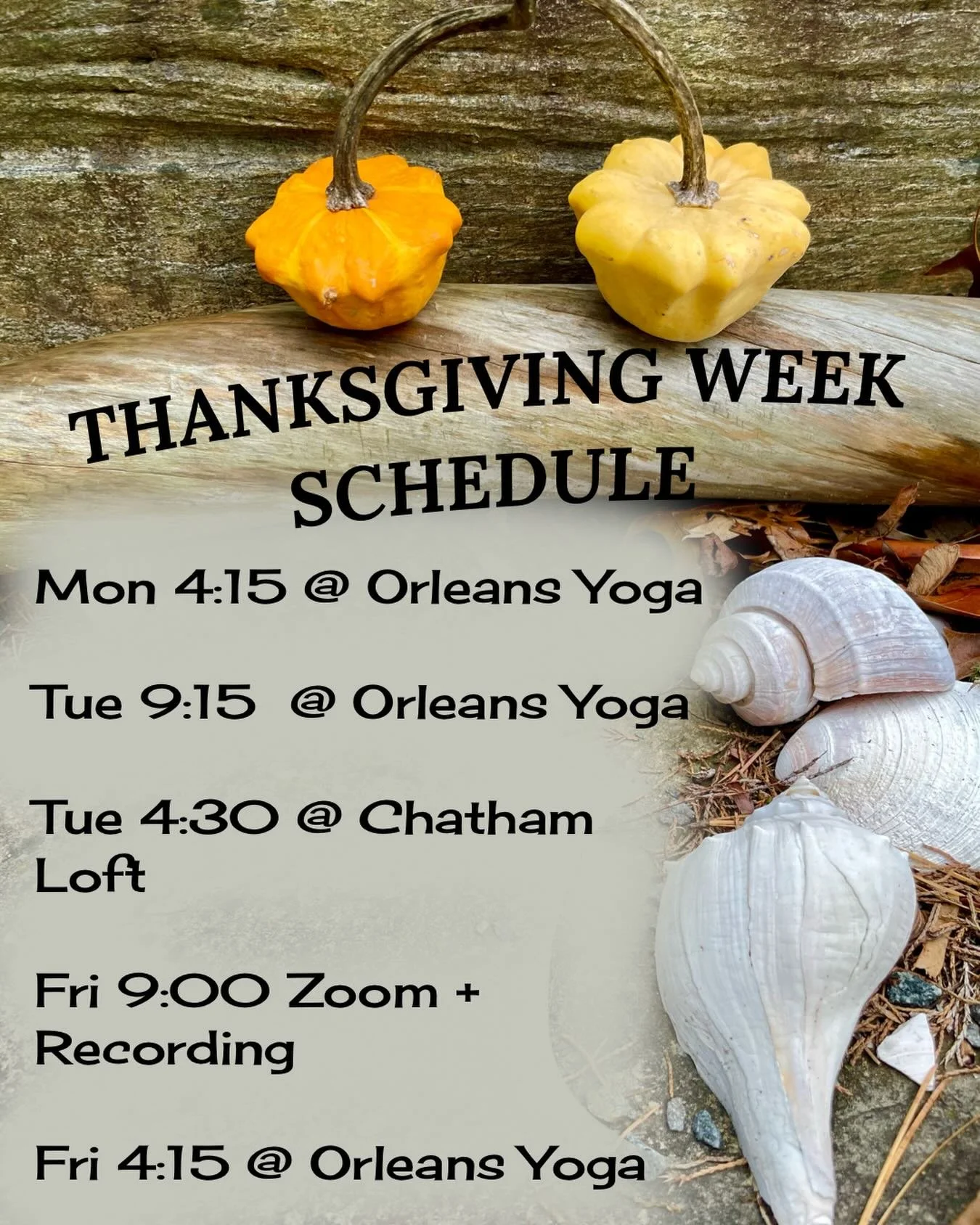 This week&rsquo;s yoga offerings. Wishing you happy thanks-giving! 🧡💛