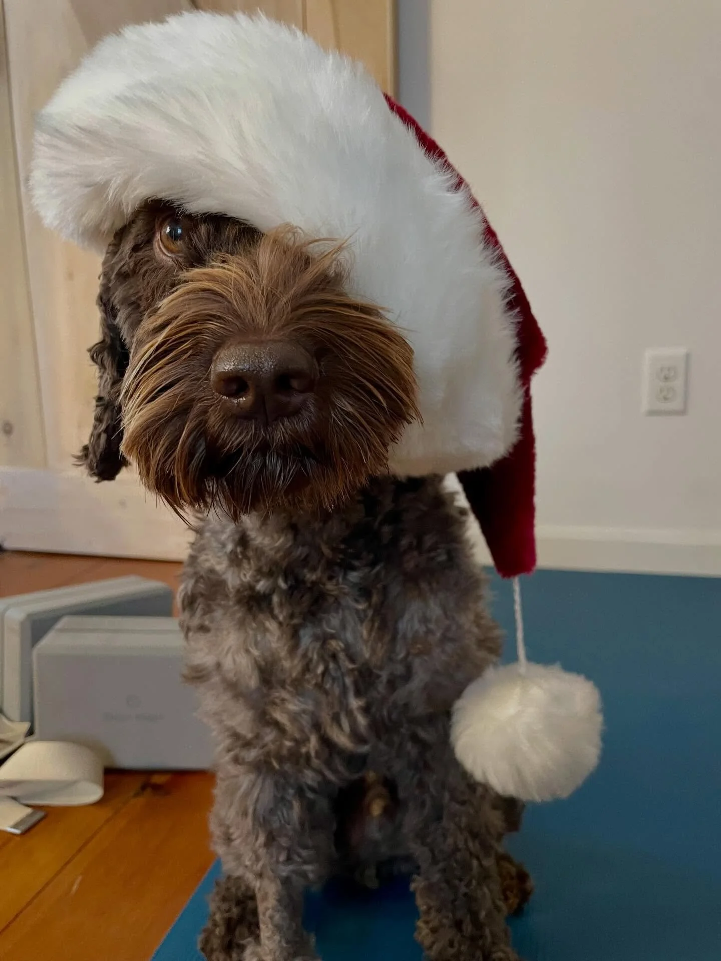 Merry Merry! Second slide has my full teaching schedule for this holiday week. I hope to see you on your mat!